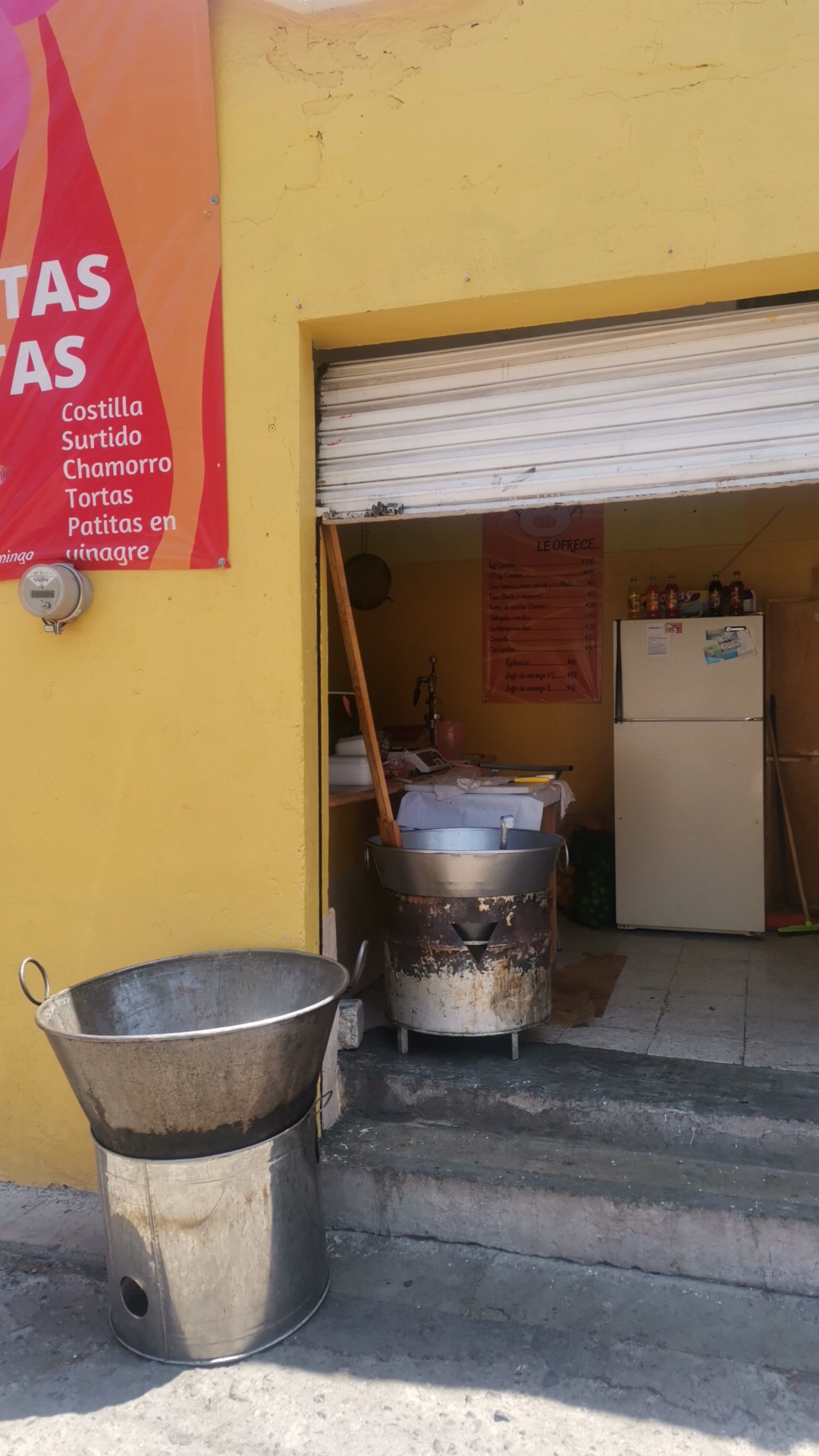 Puerco minero image 2