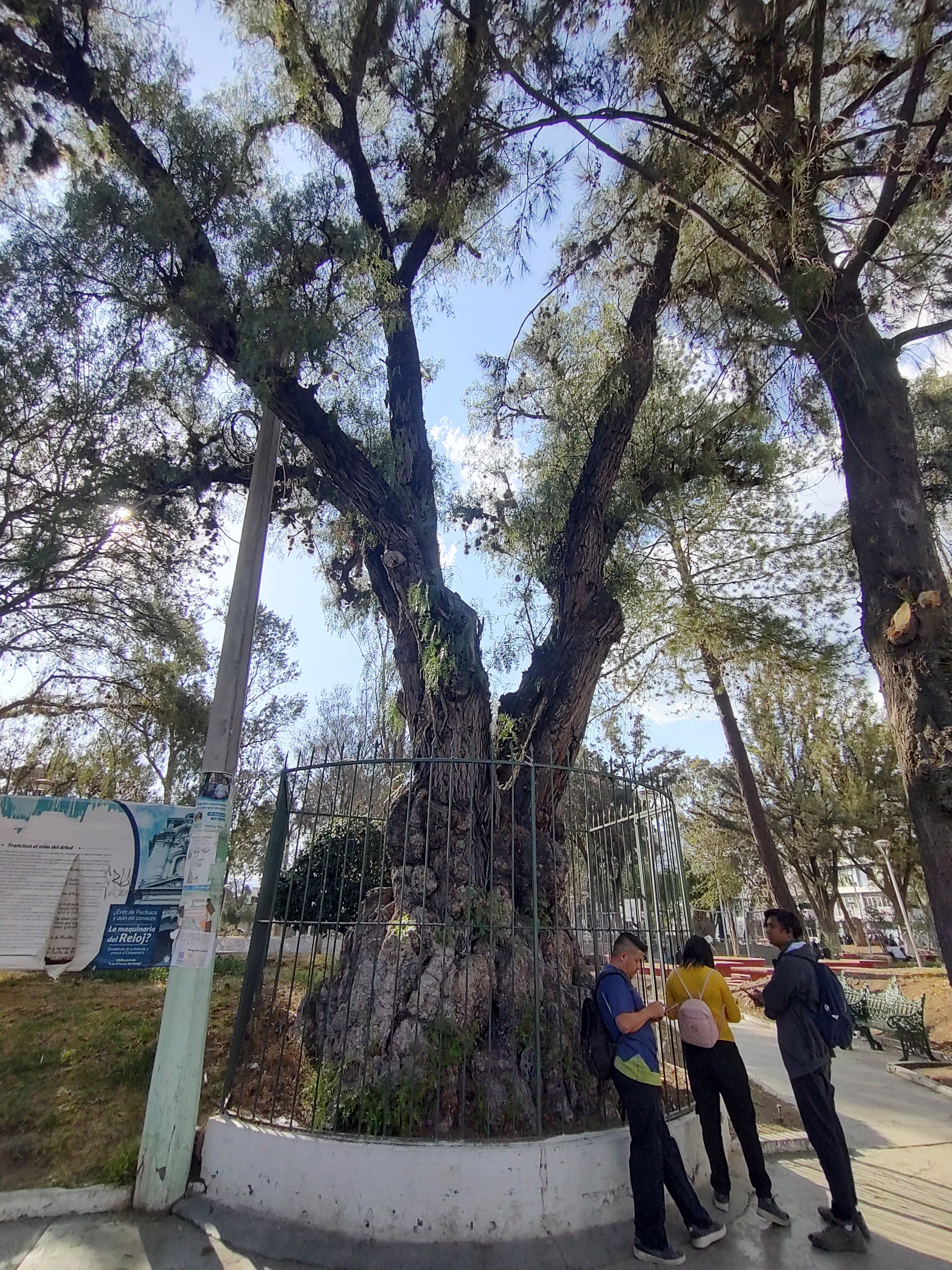 Taqueria La Canasta de Barro image 3