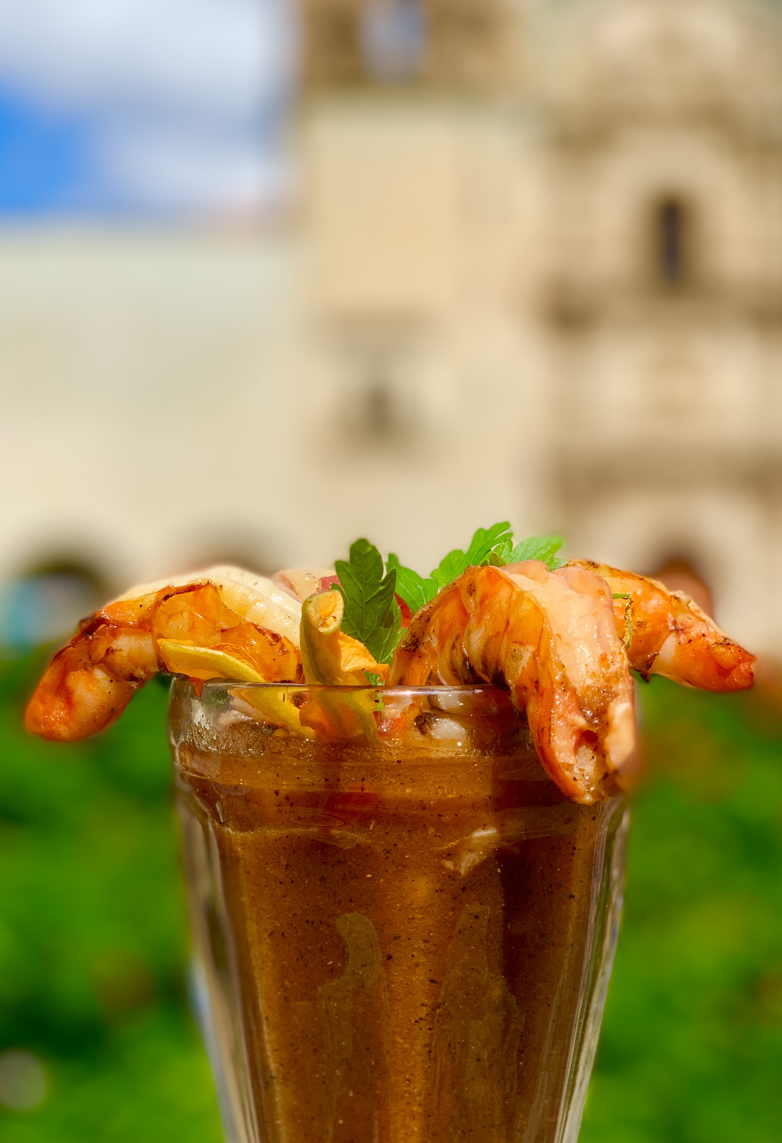 Los Andantes Terraza image 2