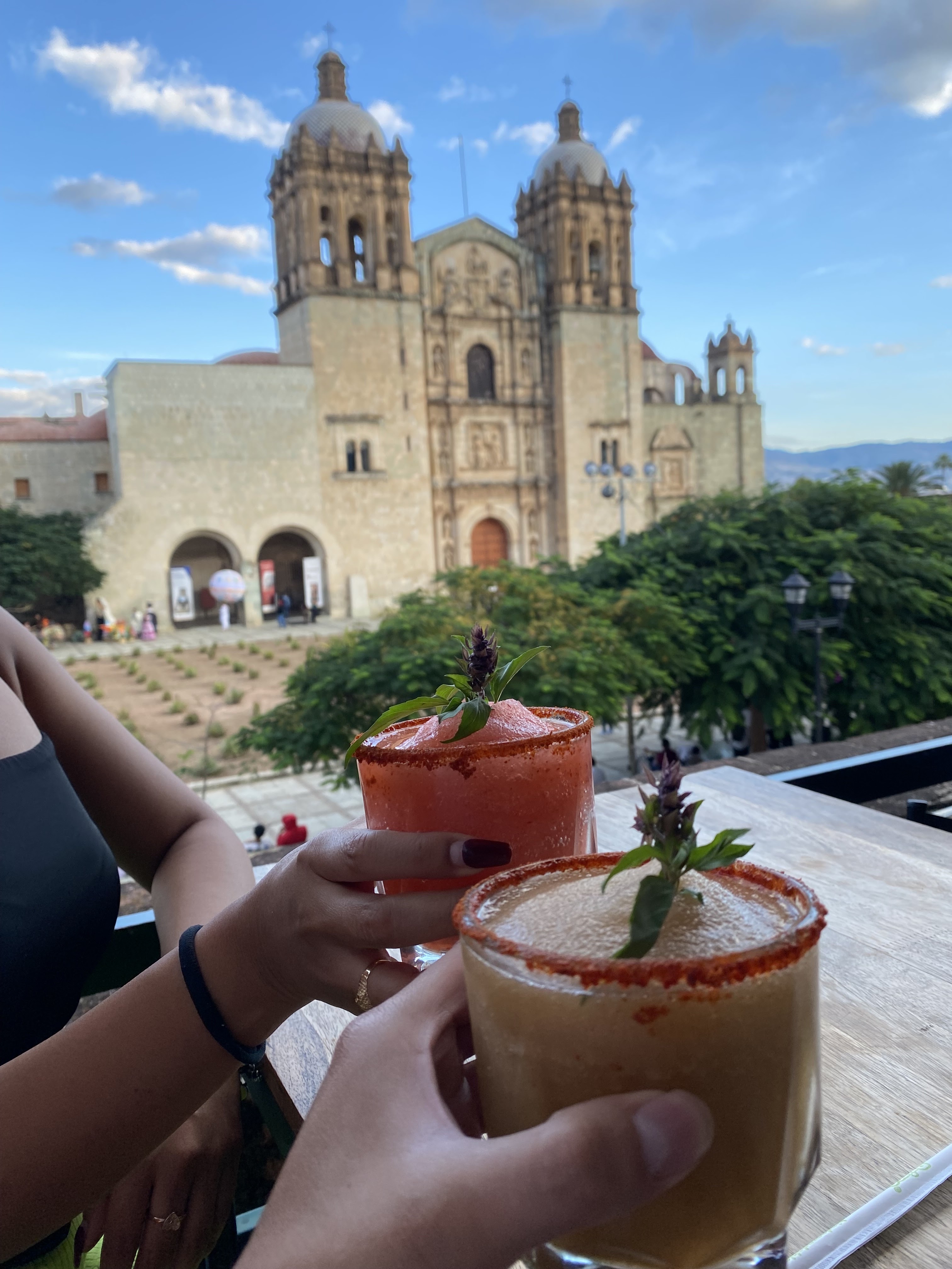 Los Andantes Terraza image 6