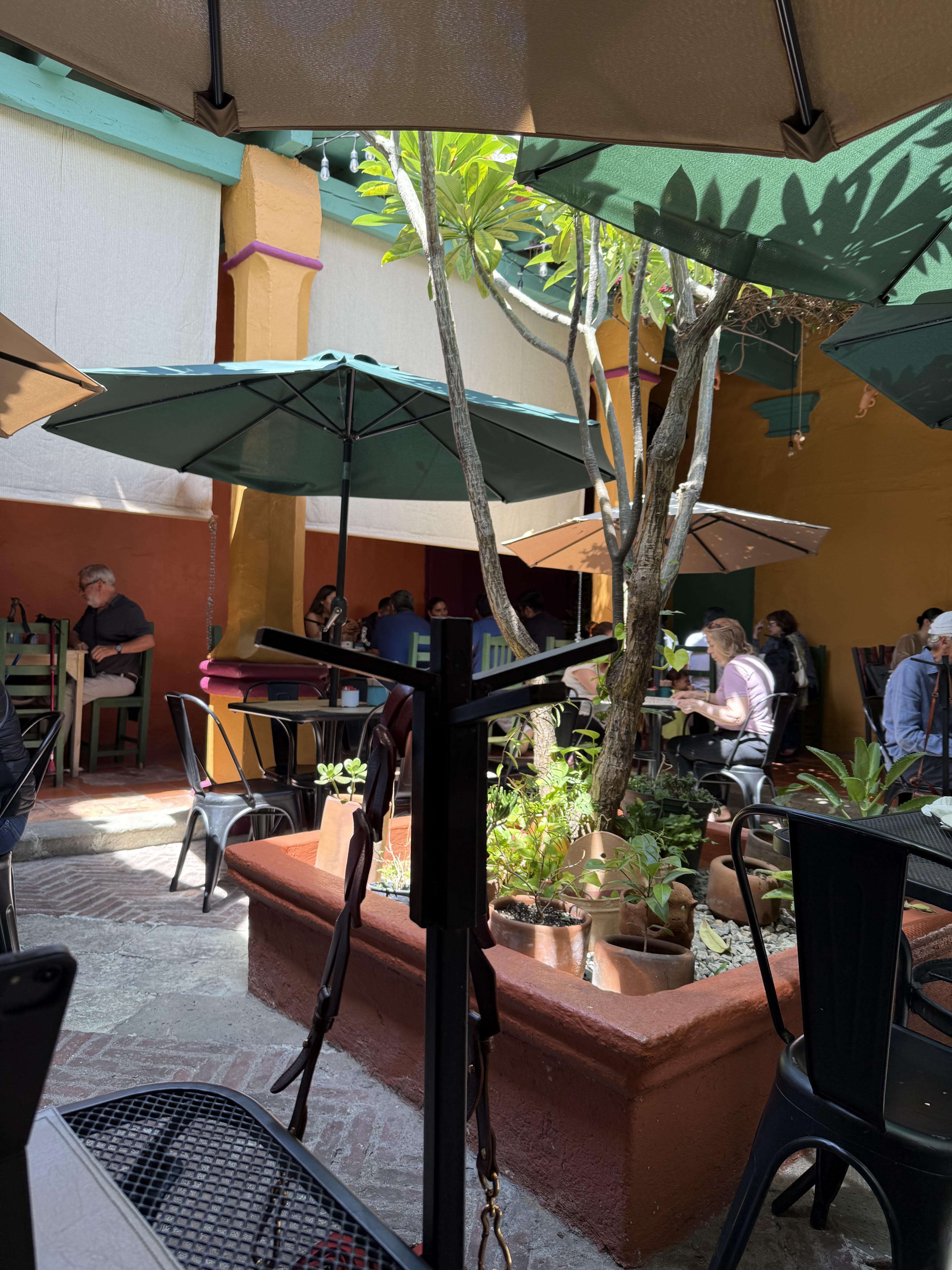 Pan:am Abasolo image 3