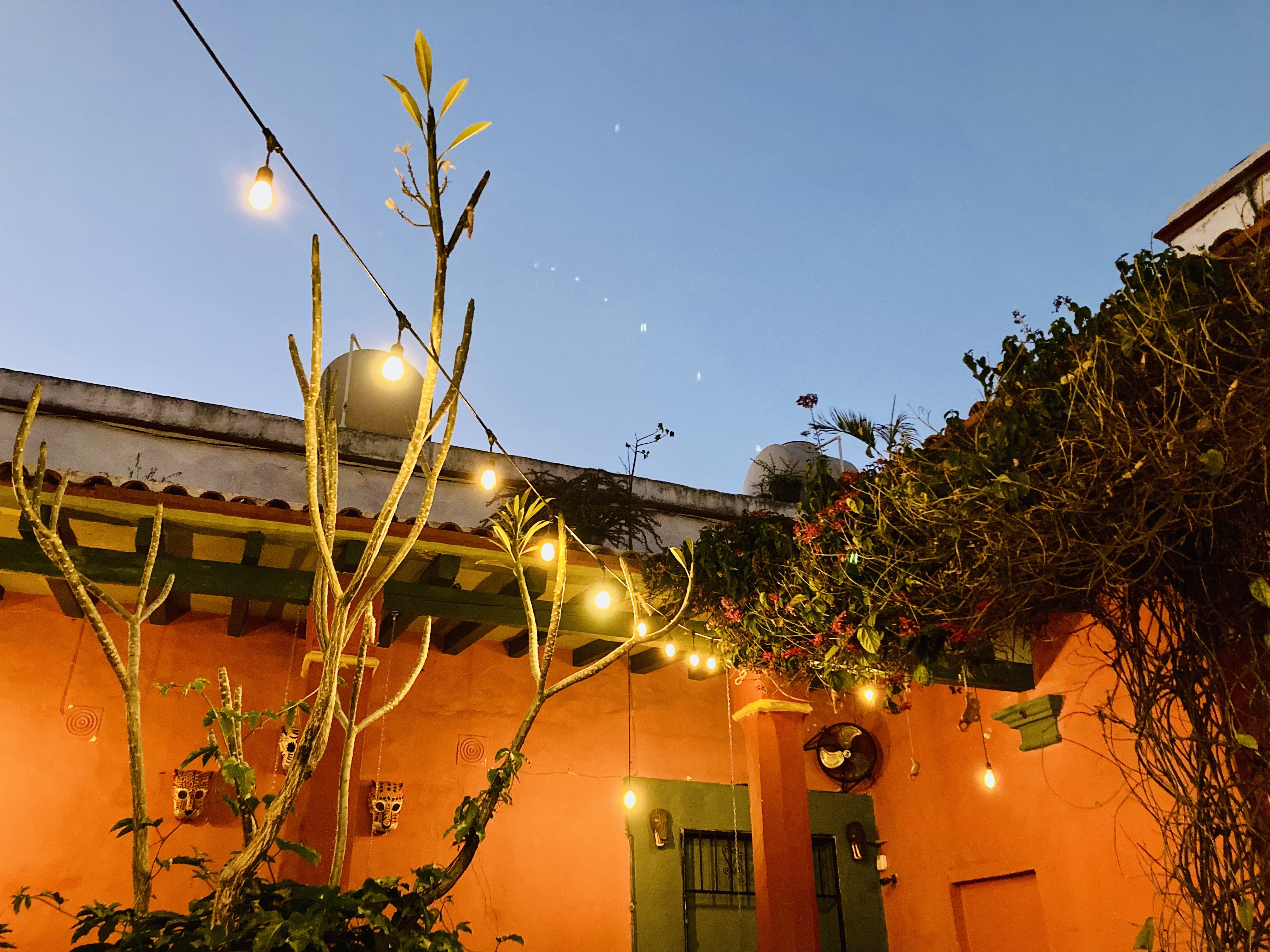 Pan:am Abasolo image 4