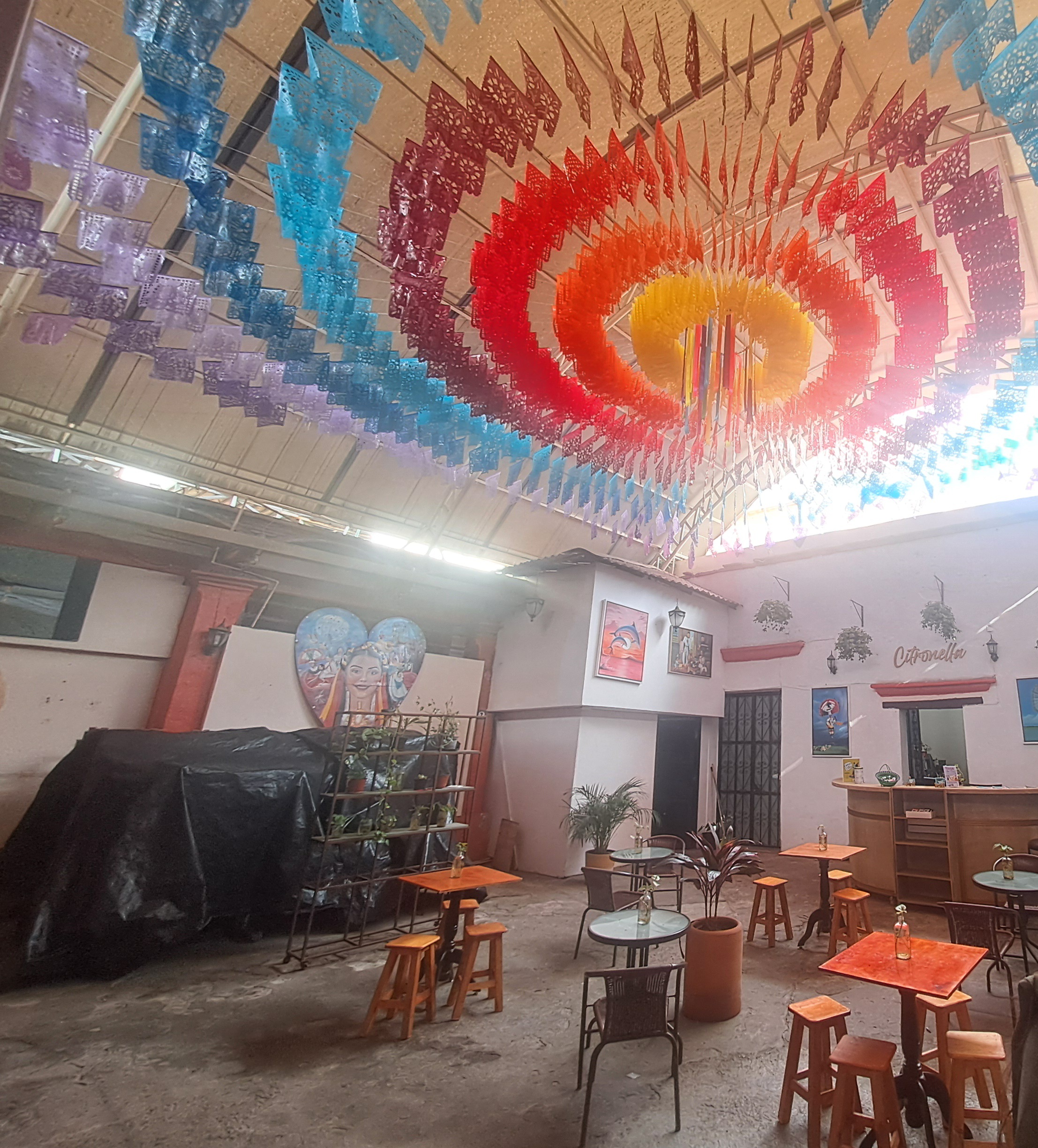 Citronella Barra Natural image 4