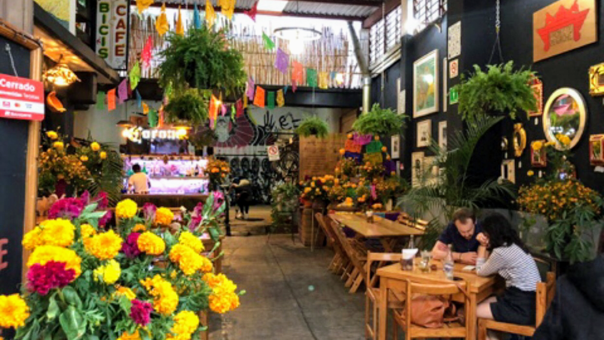 Mundo Ceiba A.C. image 3