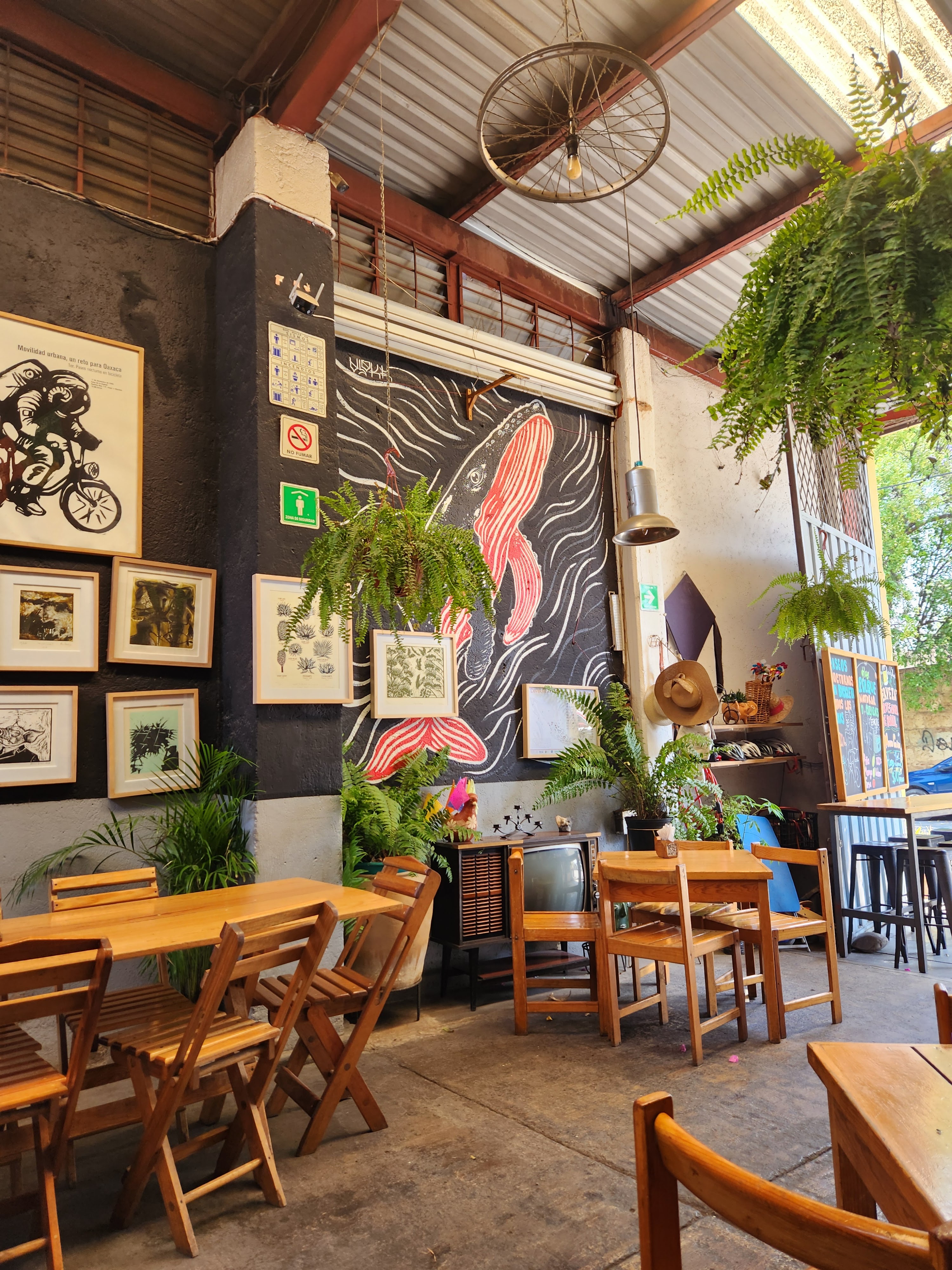 Mundo Ceiba A.C. image 4