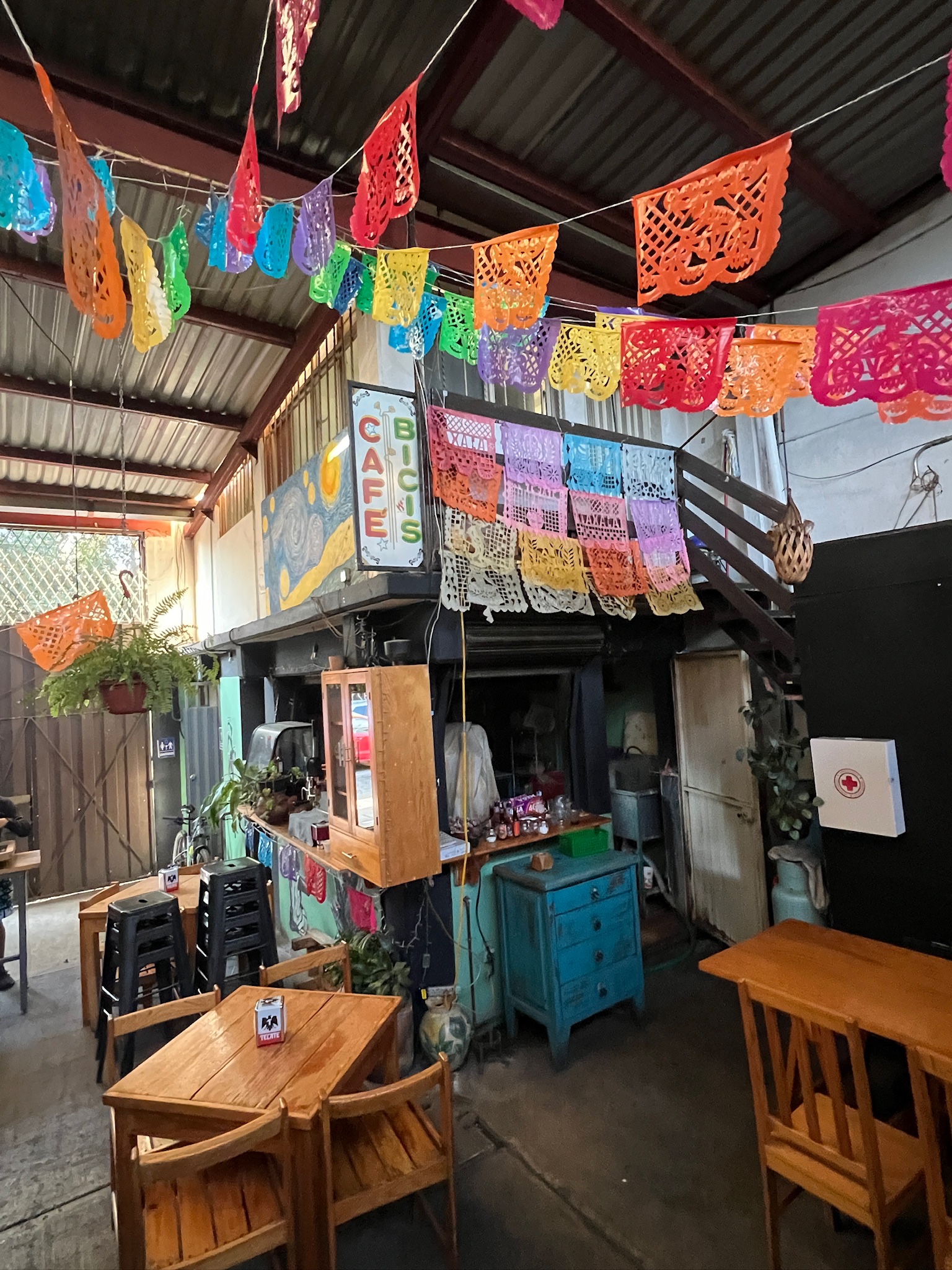 Mundo Ceiba A.C. image 5