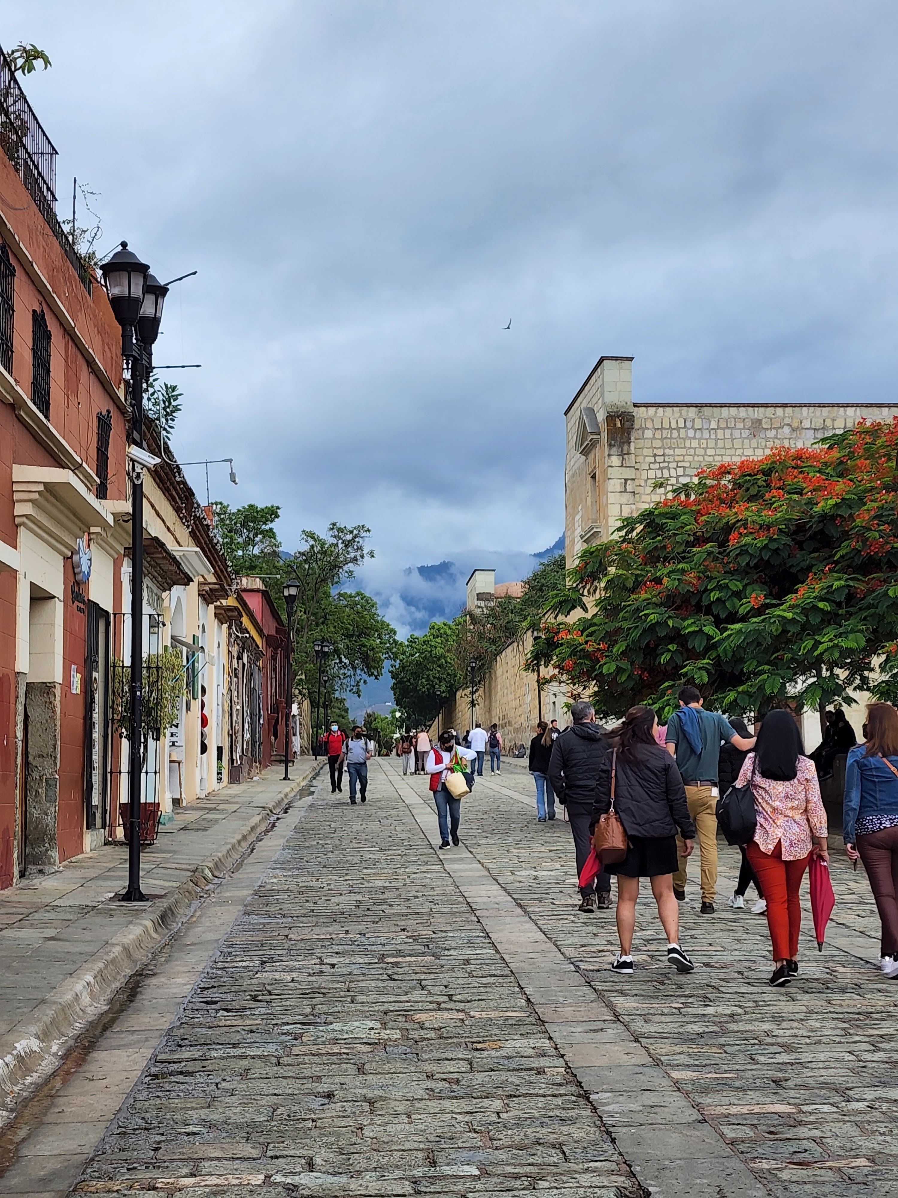 Restaurante La Costumbre Delicatessen image 5
