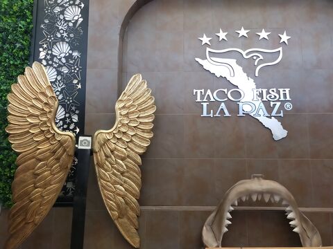 TacoFish image 5