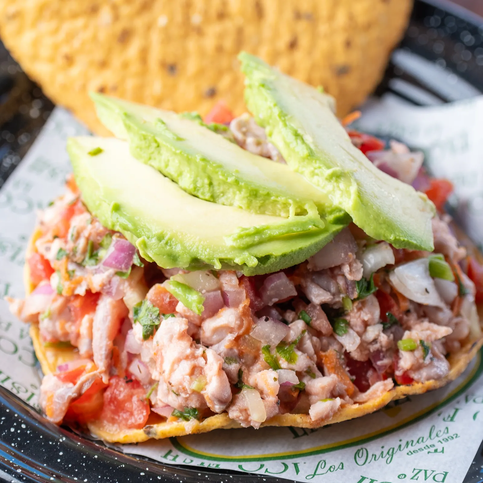 TacoFish image 7