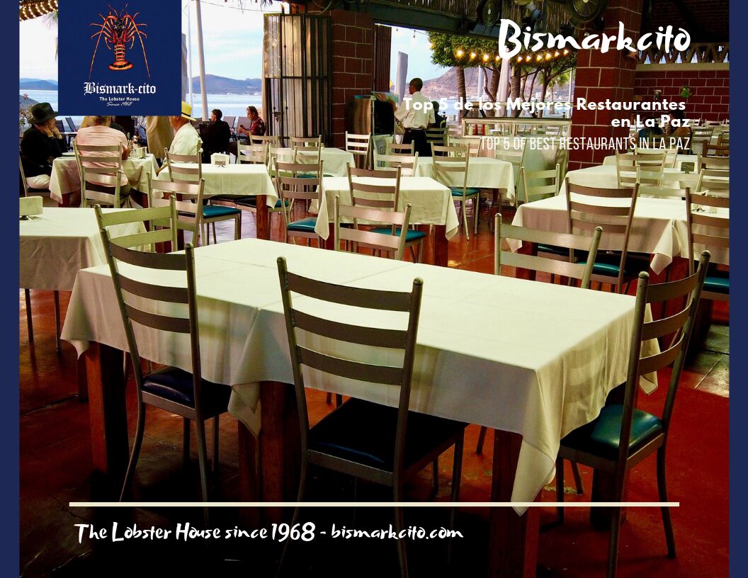 Bismarkcito image 1