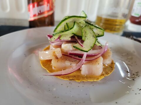 Bismarkcito image 3