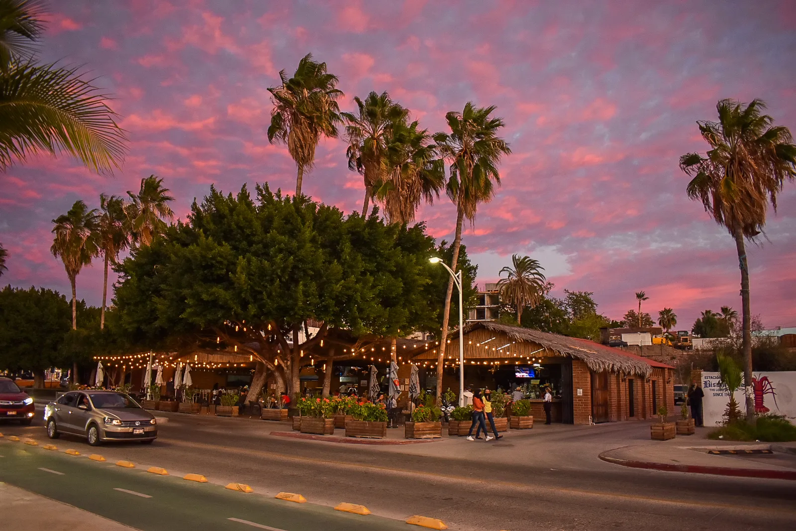 Bismarkcito image 4