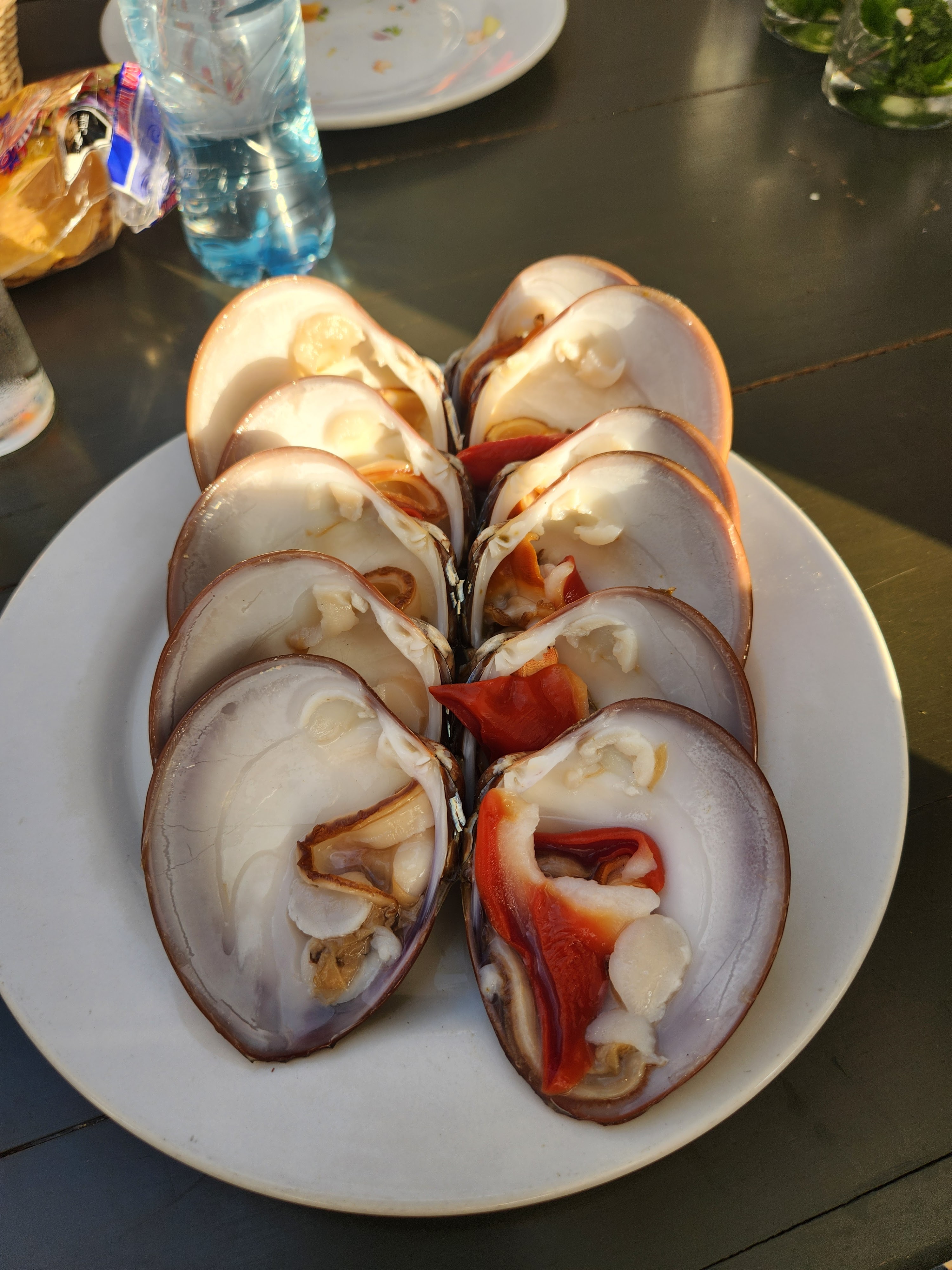 Bismarkcito image 10