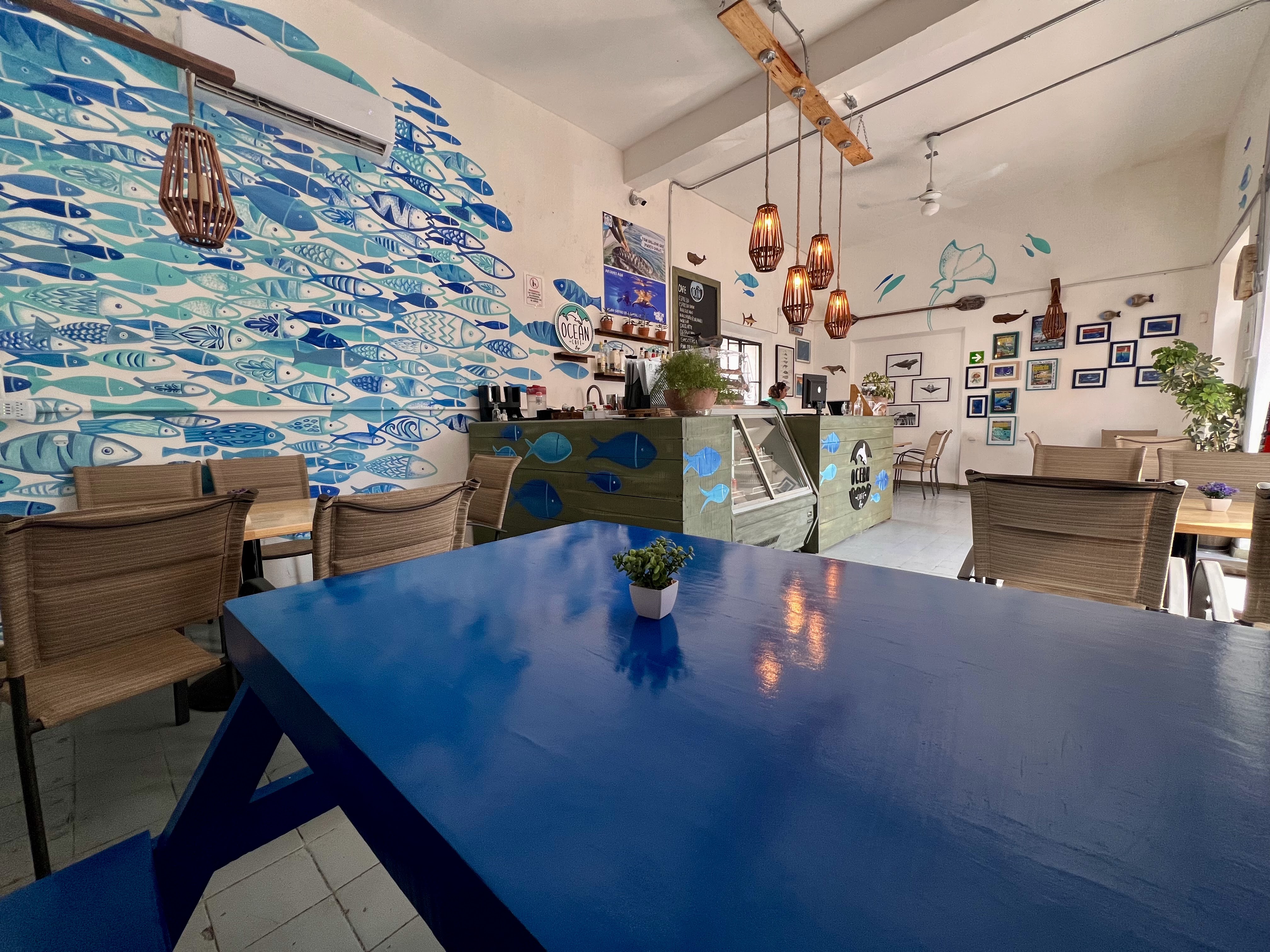 Ocean Cafe Baja image 1