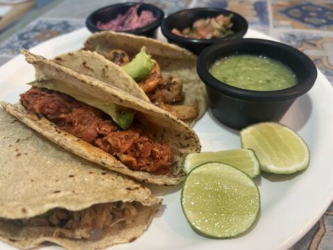Ocean Cafe Baja image 2