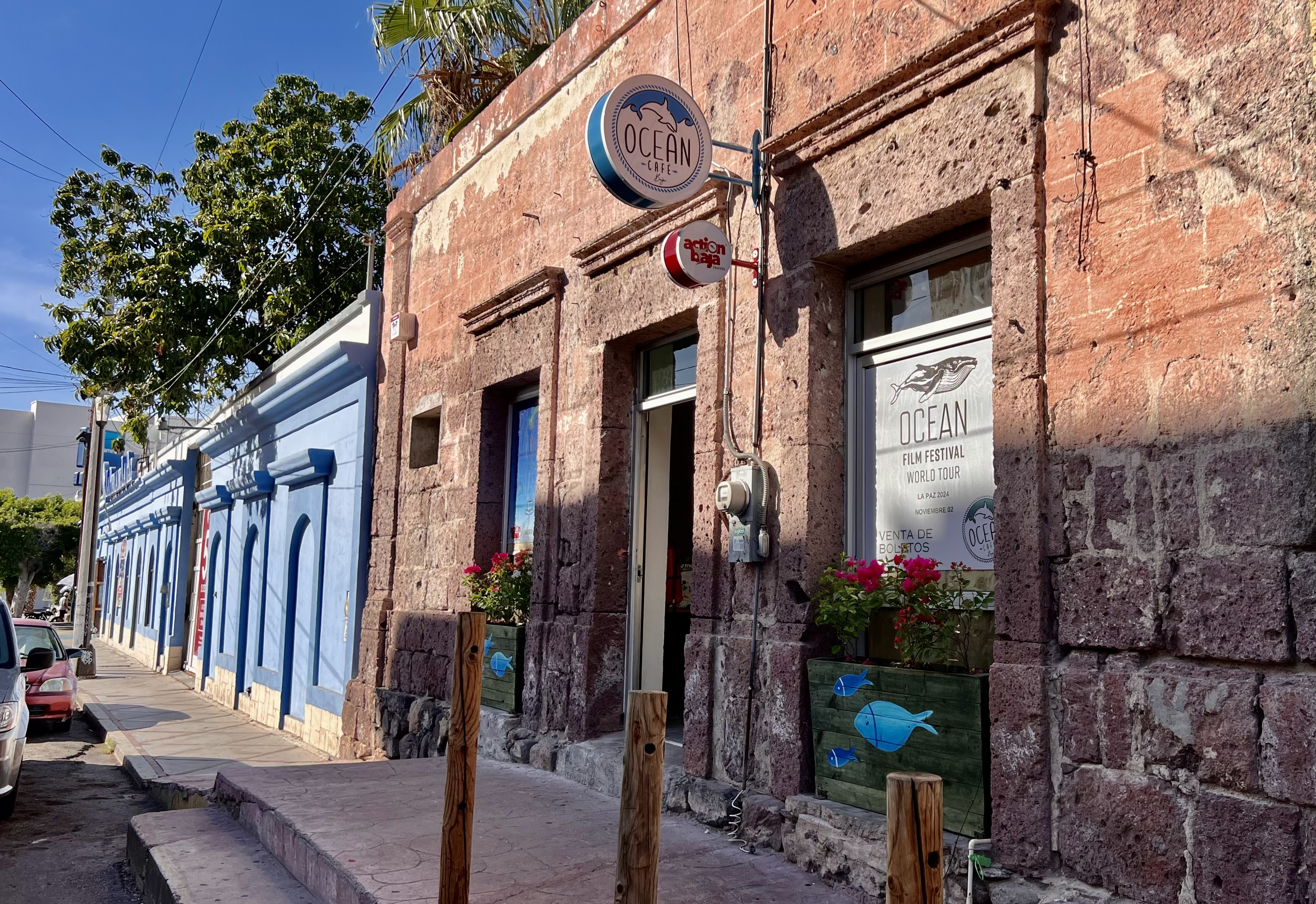 Ocean Cafe Baja image 4