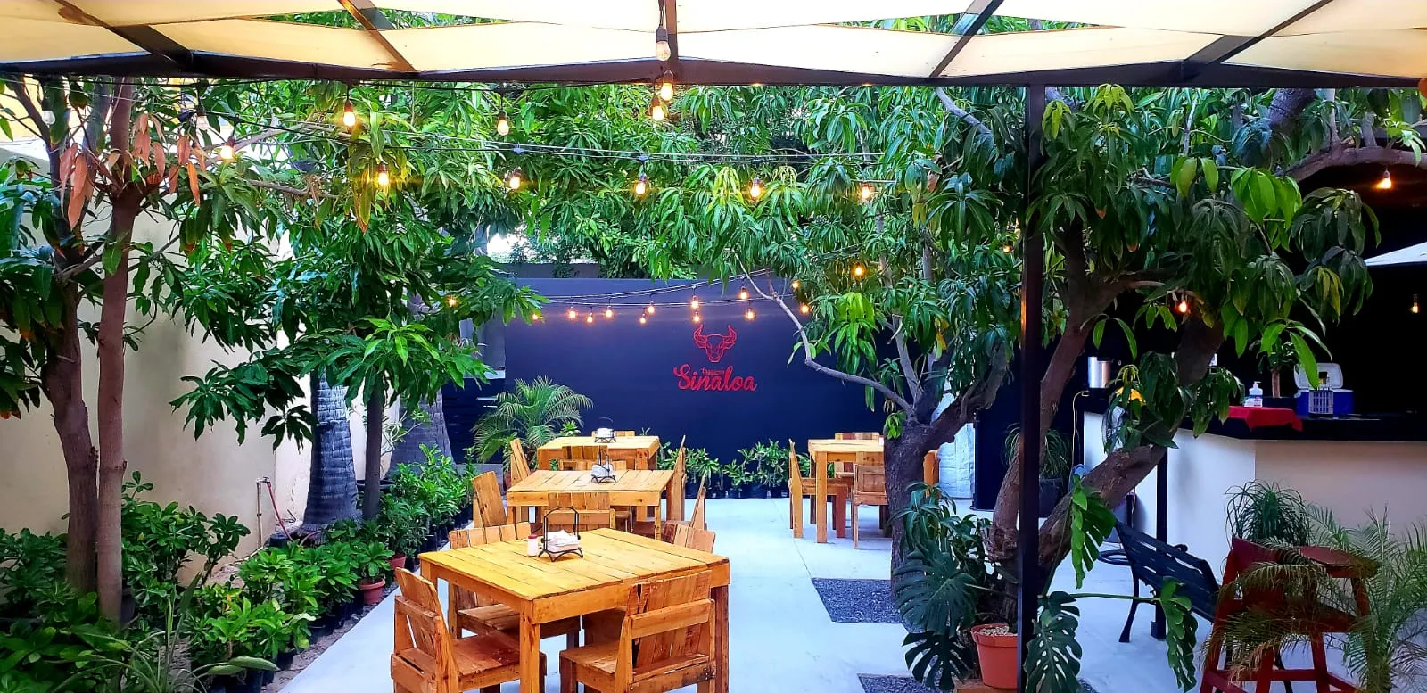 Sinaloa Restaurante image 4