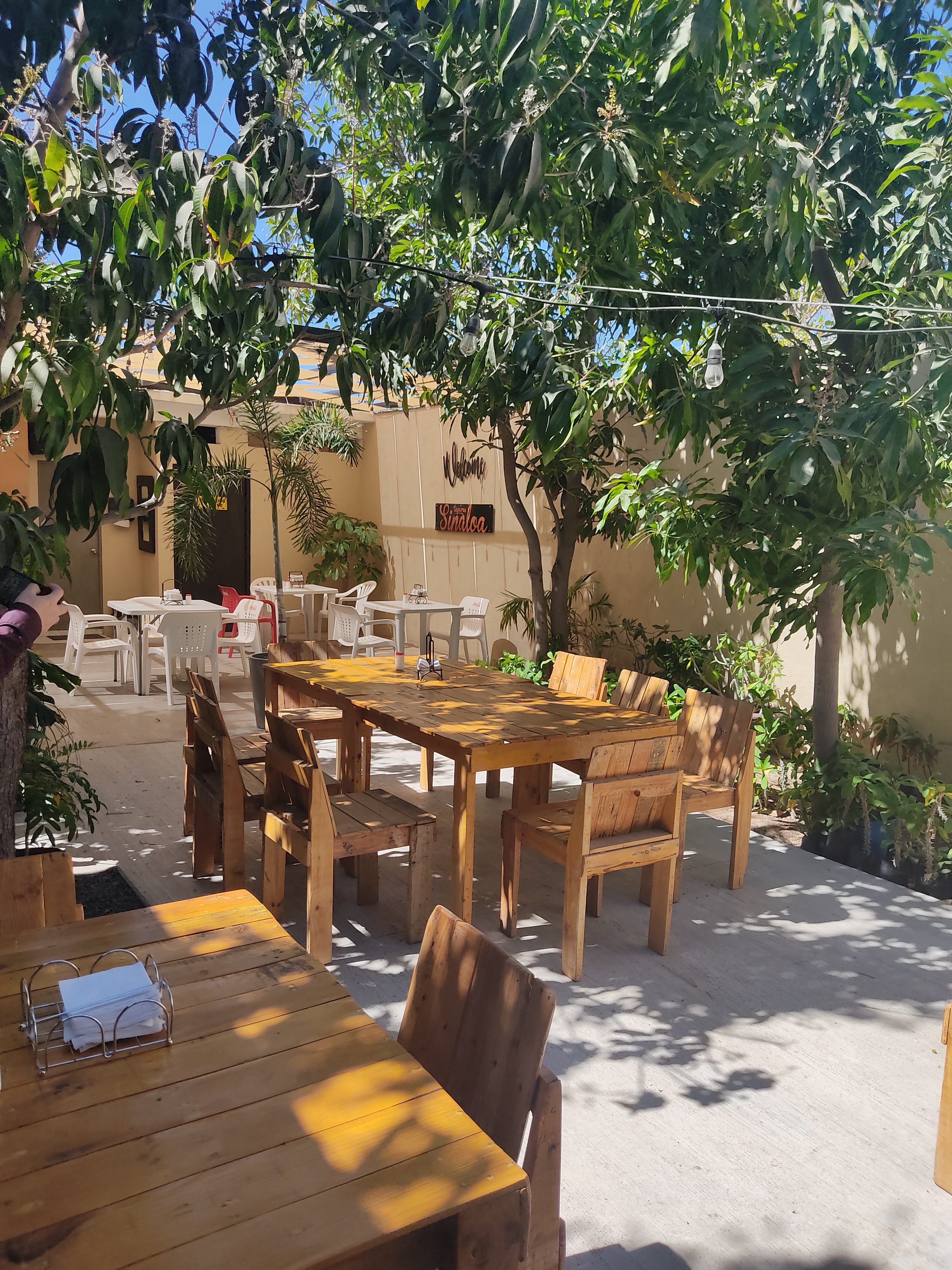 Sinaloa Restaurante image 6