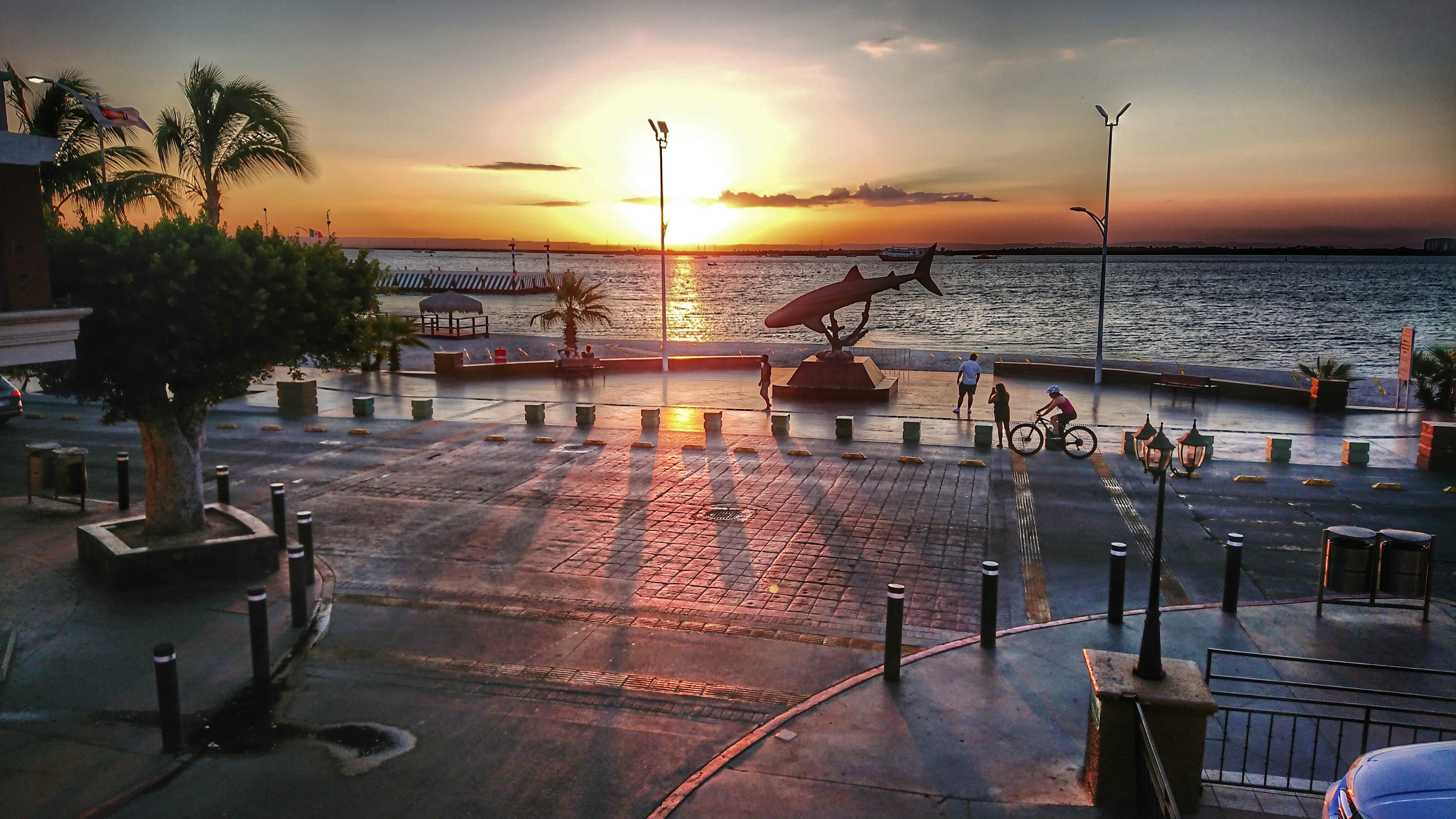 Restaurante Central 1535 image 7