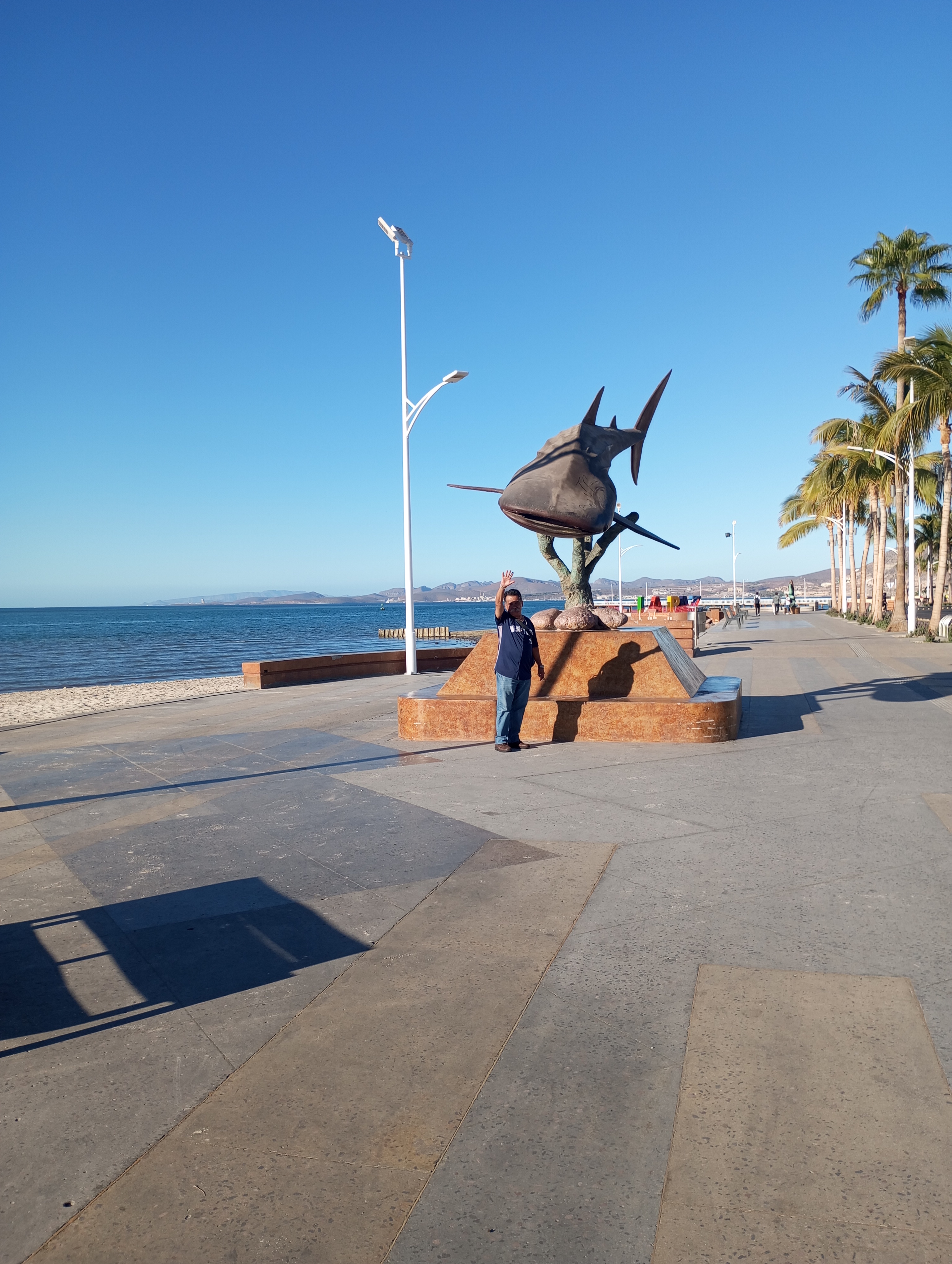 Restaurante Central 1535 image 8