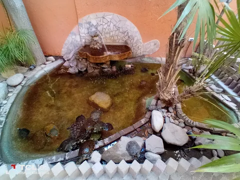 La Marmolera image 3