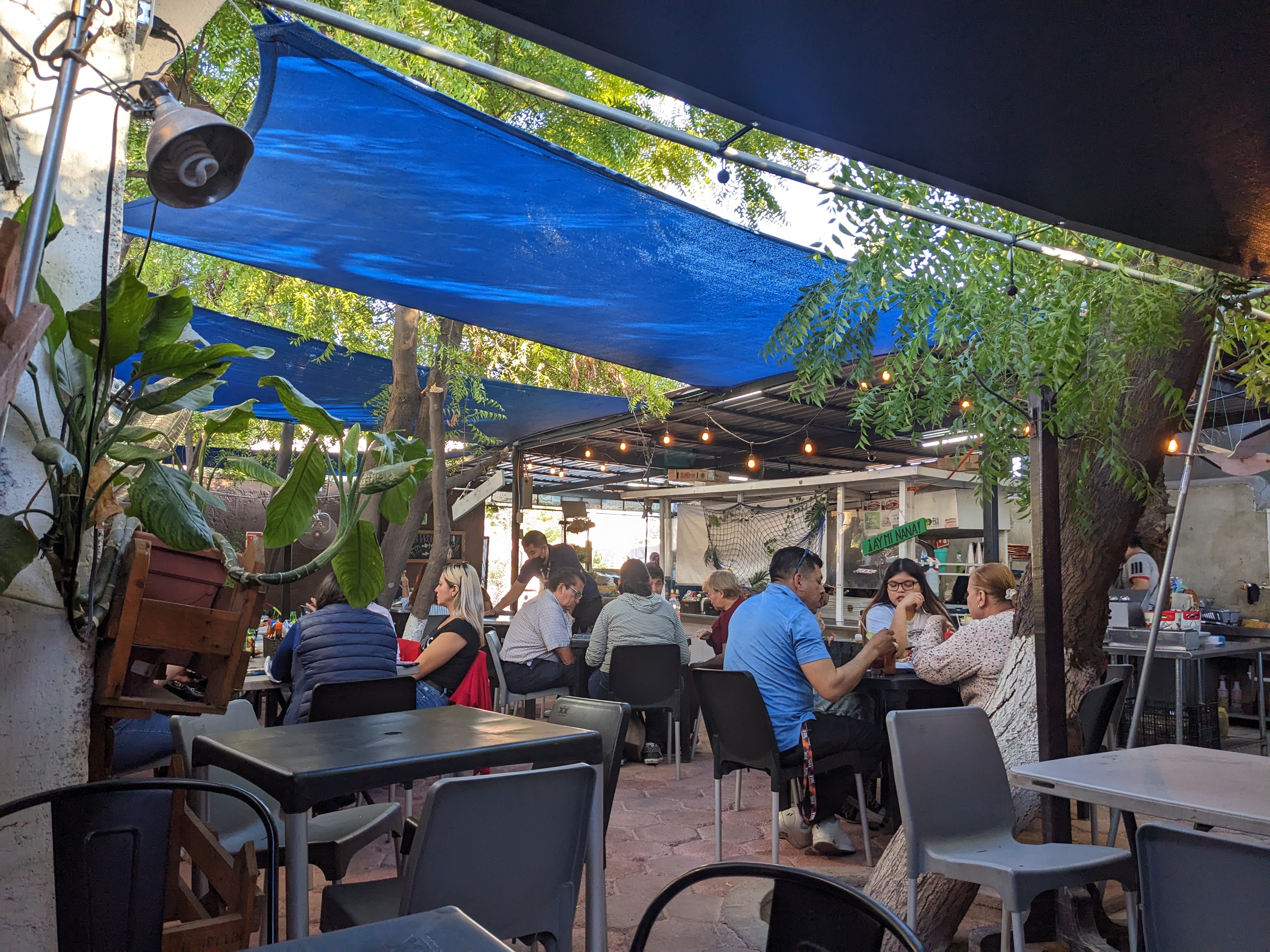 El Paceñito image 1