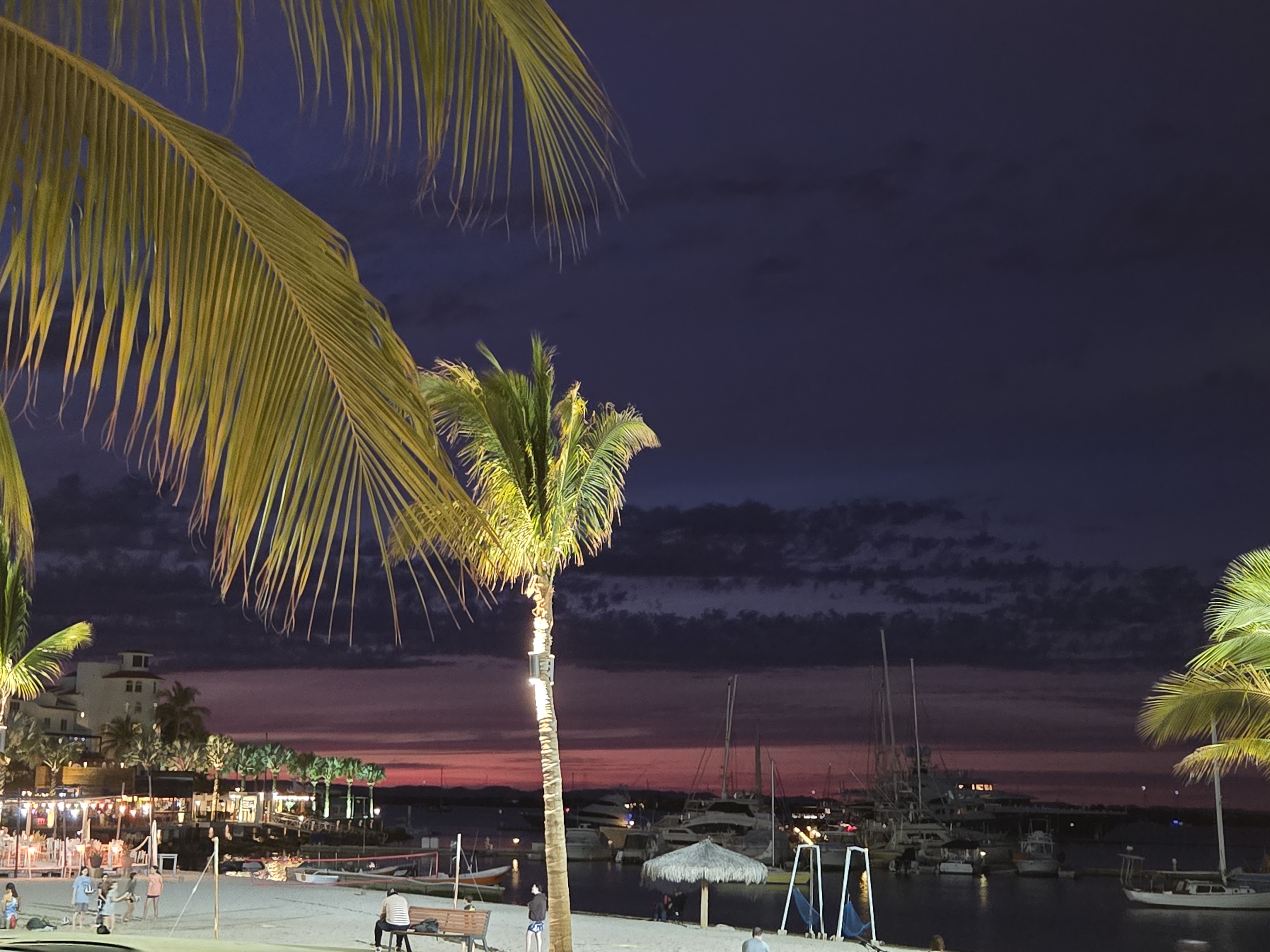 Vid'ah Bistro image 5