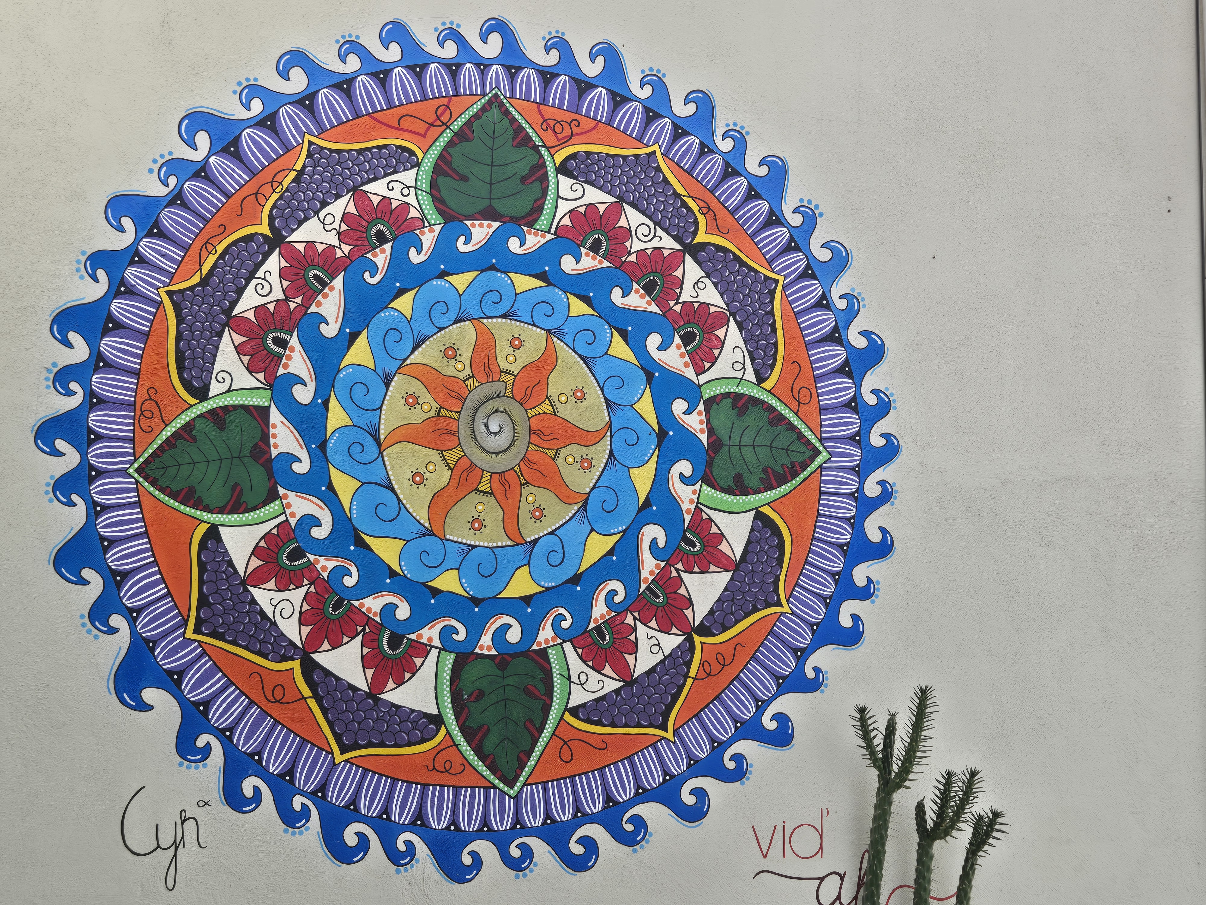 Vid'ah Bistro image 7