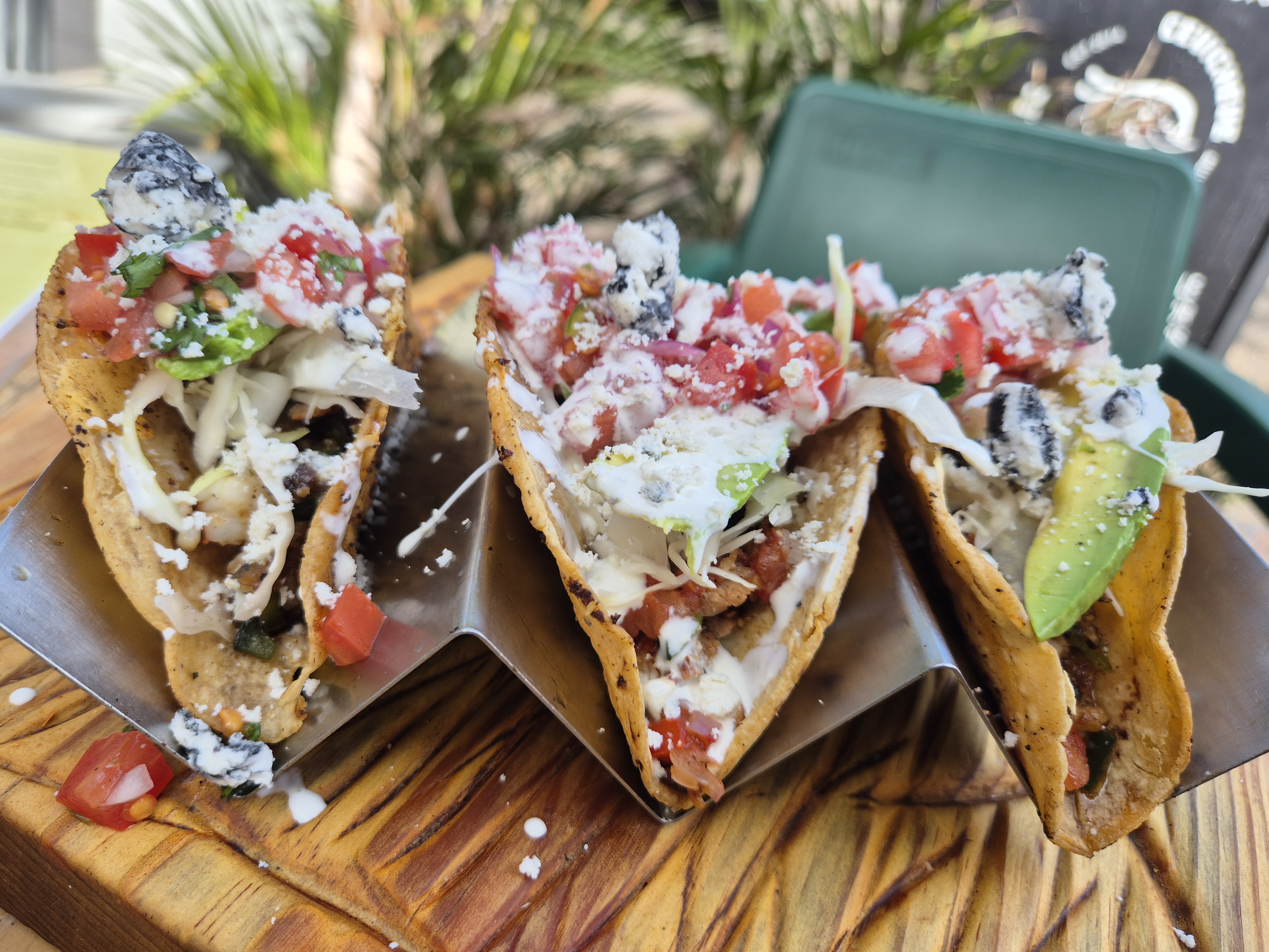 Cevicheve Sinaloense image 3