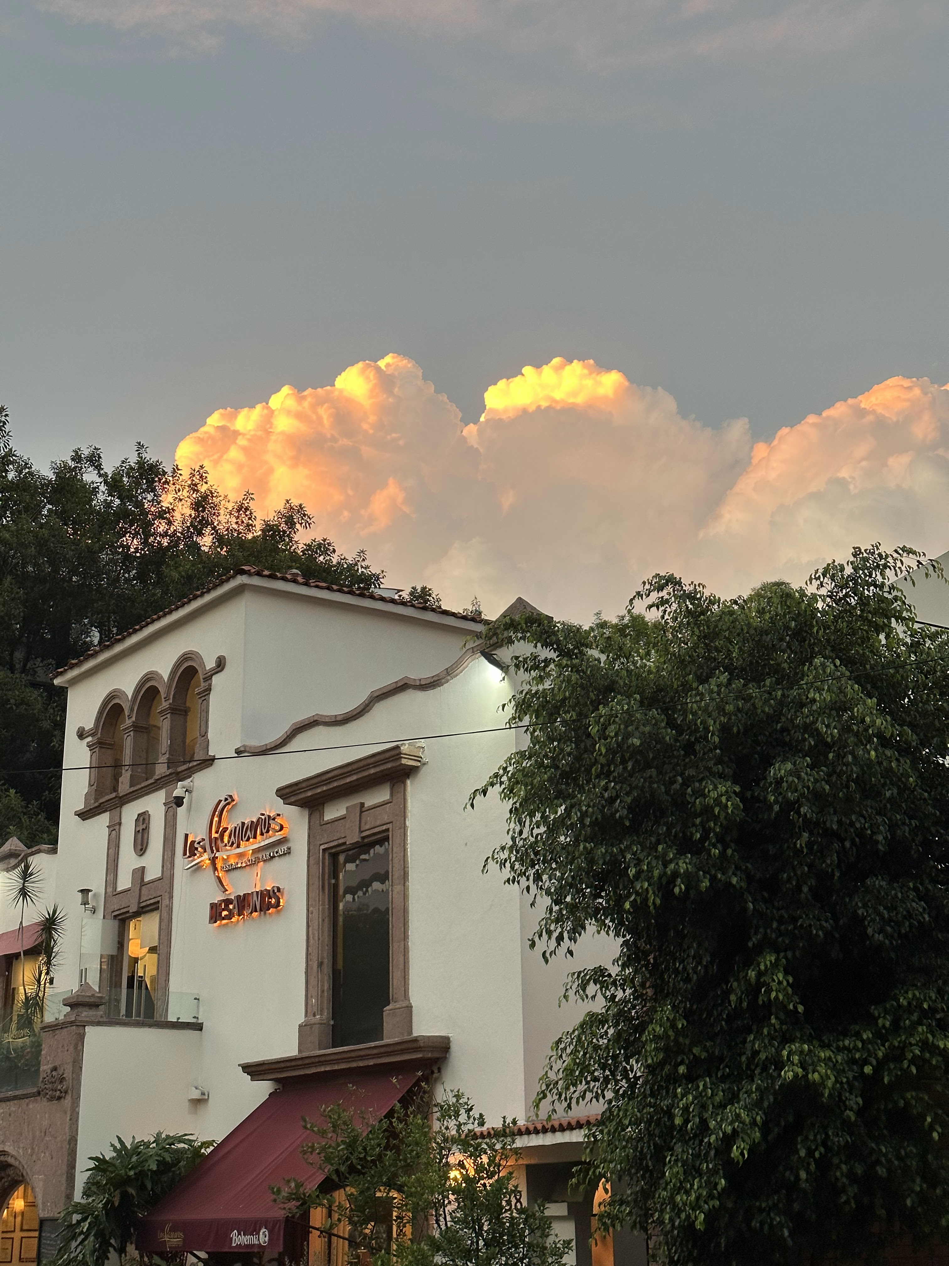 Los Canarios image 3