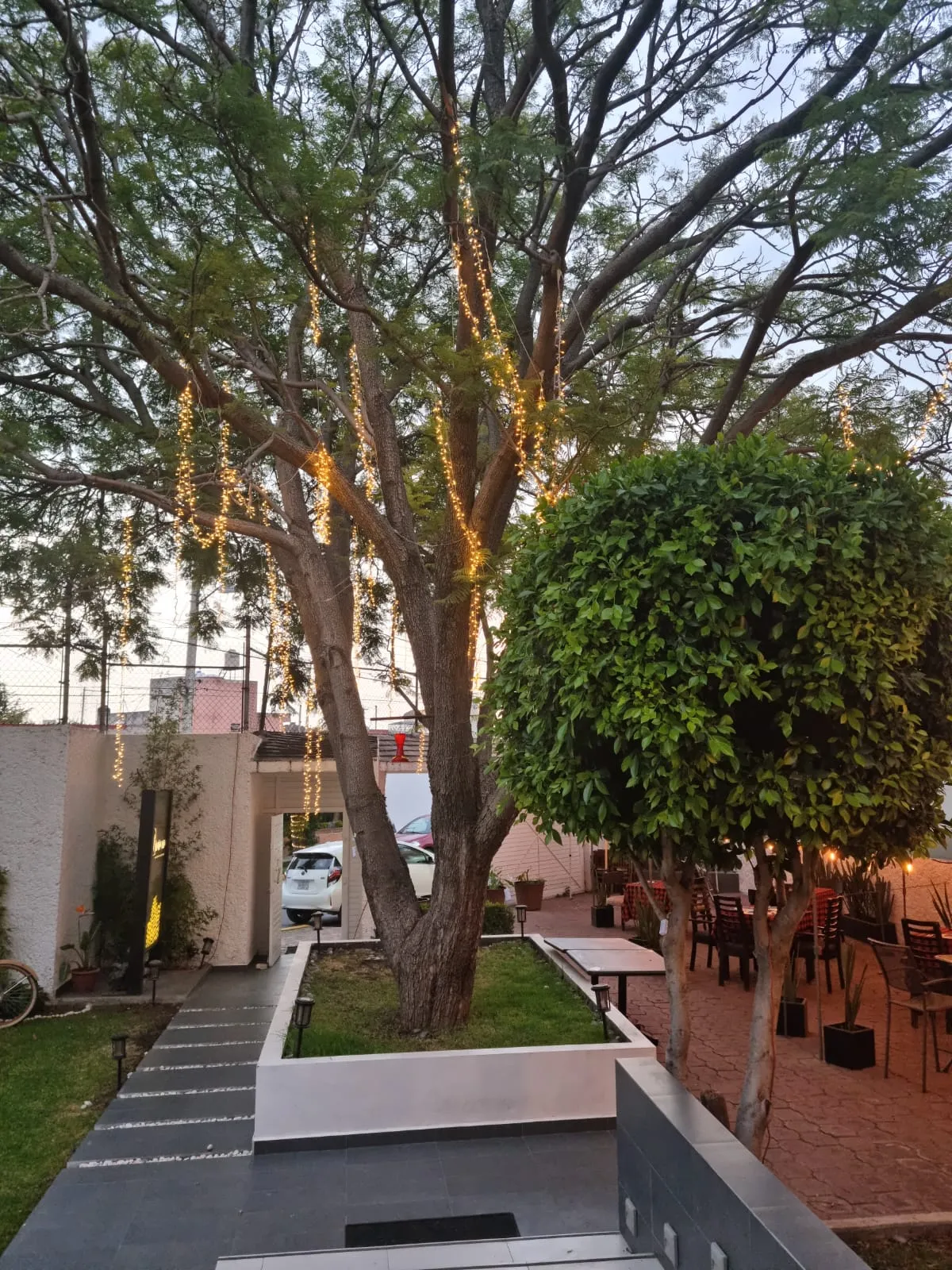 Ñaña Mía image 5