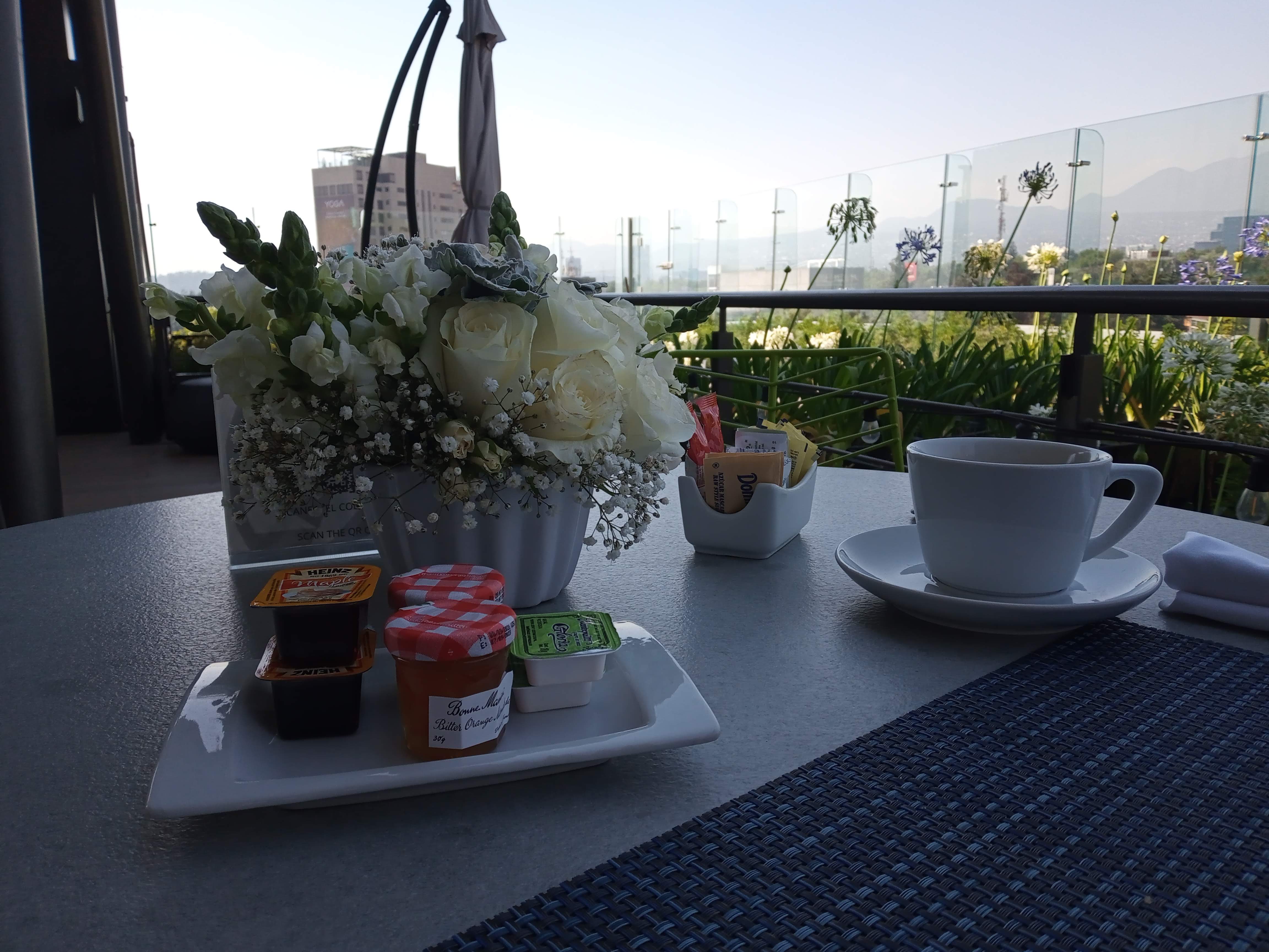 Roof Garden San Jerónimo image 7