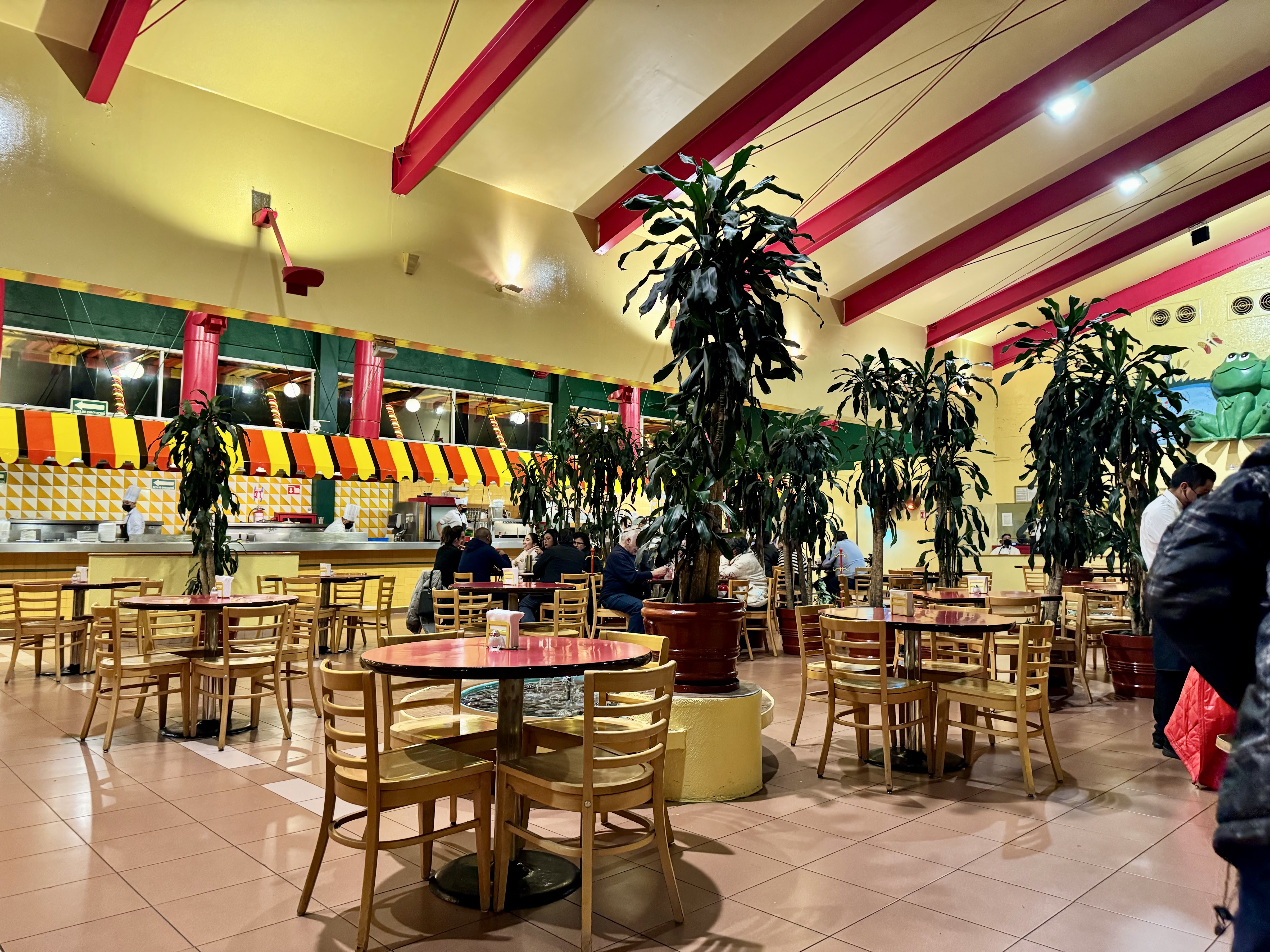 El Charco de las Ranas 3 - Pedregal image 6