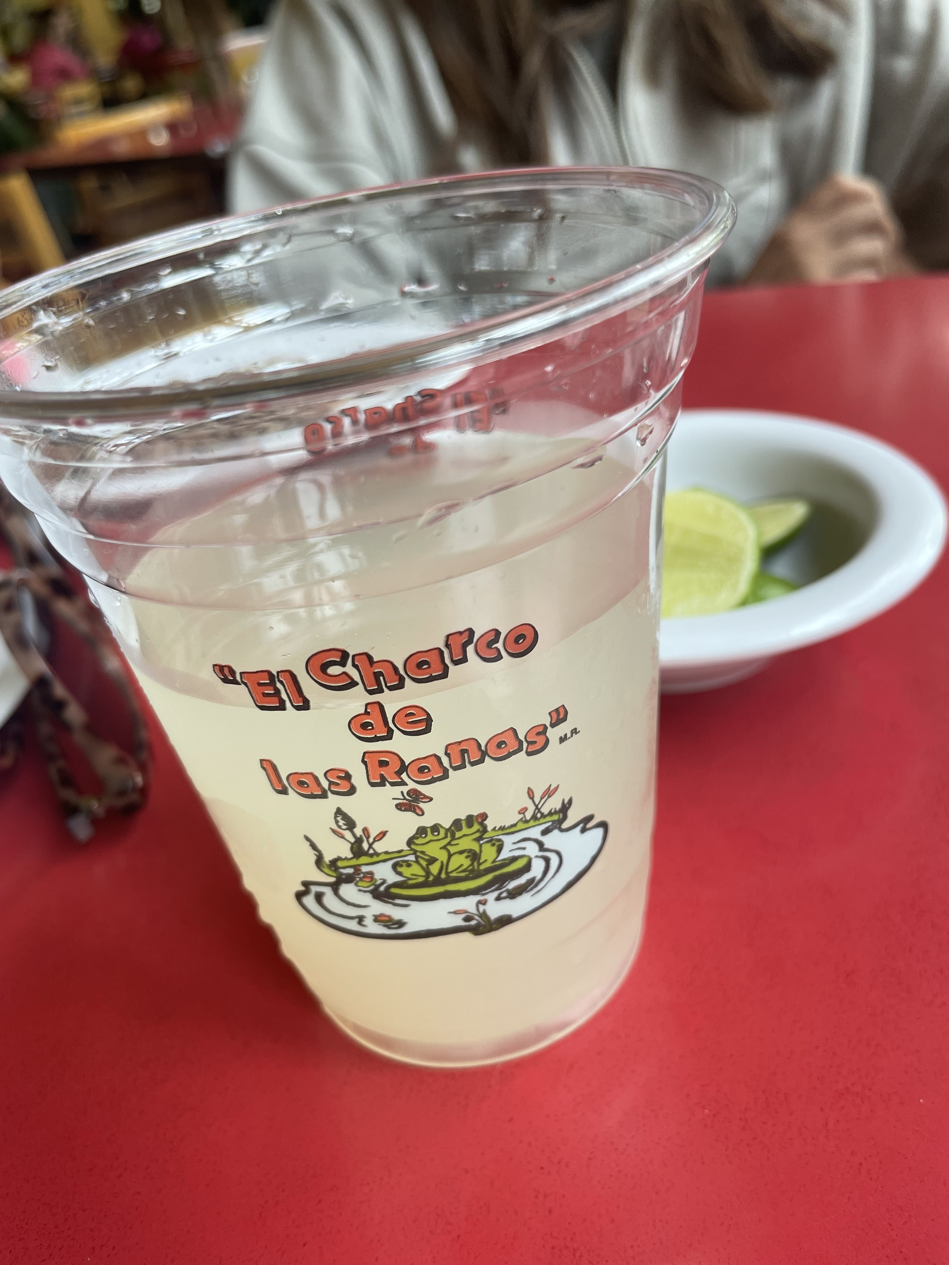 El Charco de las Ranas 3 - Pedregal image 7