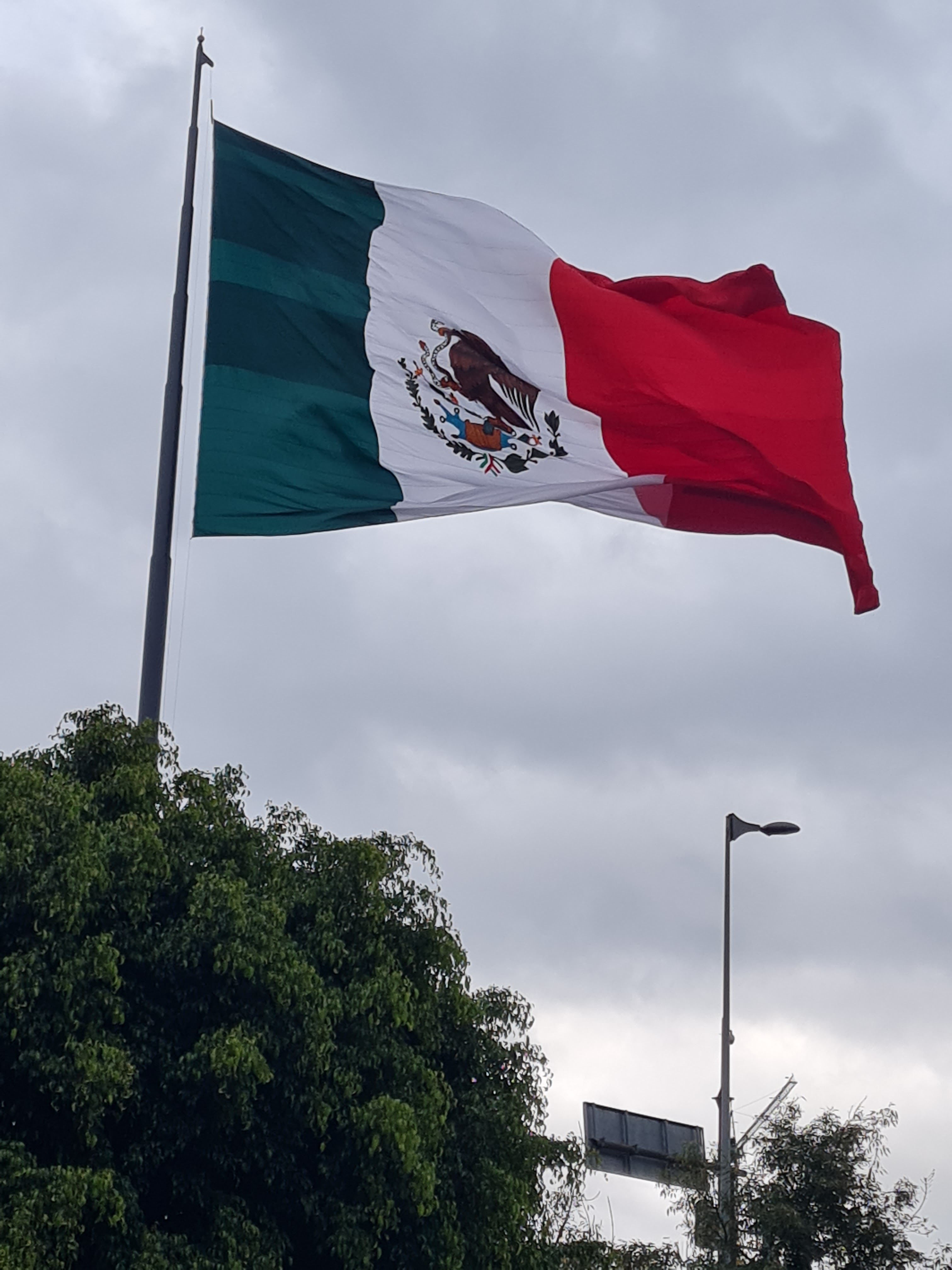 Vips San Jerónimo image 7