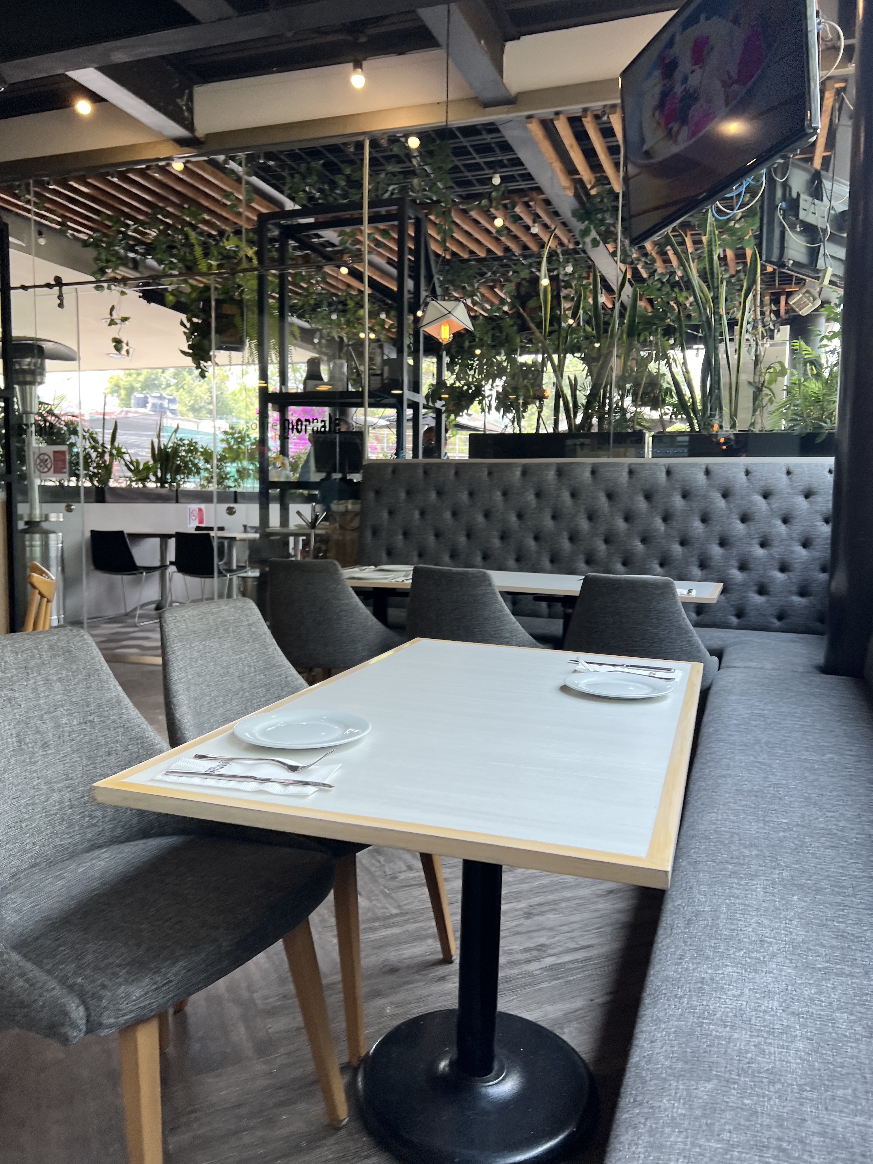 Giornale Pedregal image 5