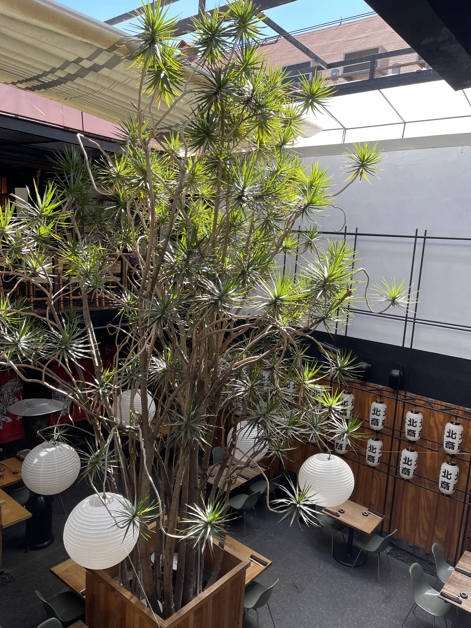 Sud 777 image 10