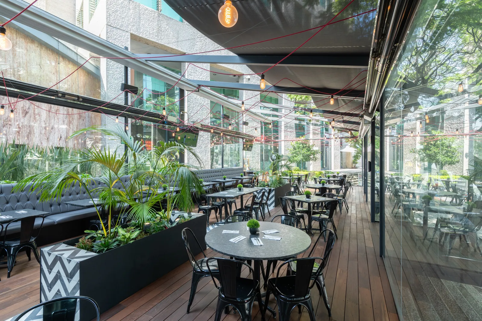 Chazz San Jeronimo image 1