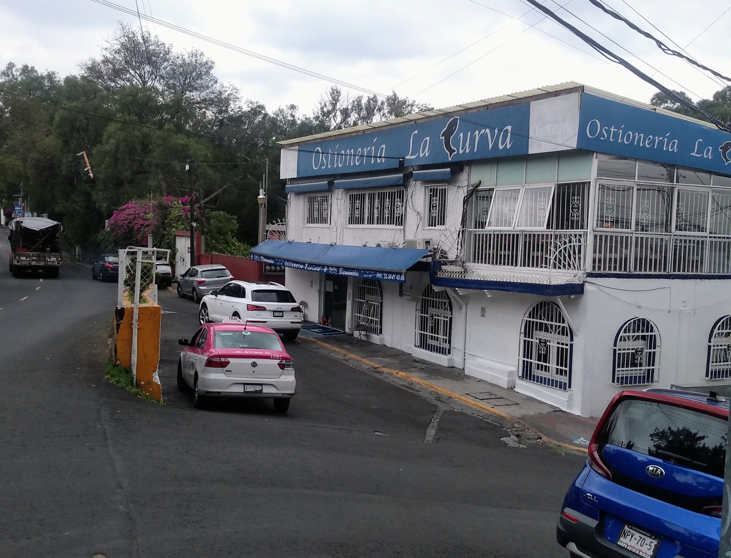 Ostionería La Curva image 5