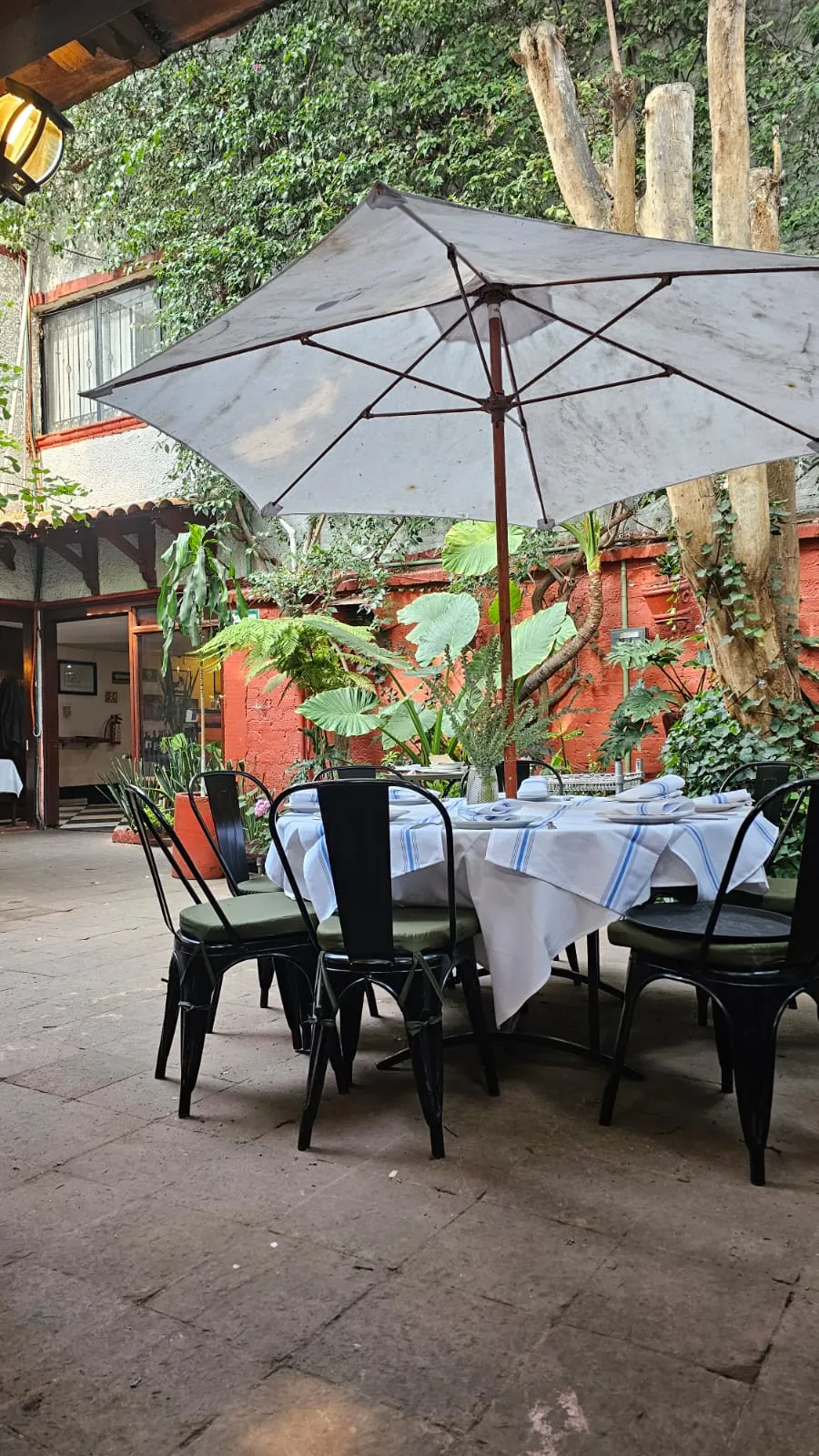 Restaurante Allende image 3