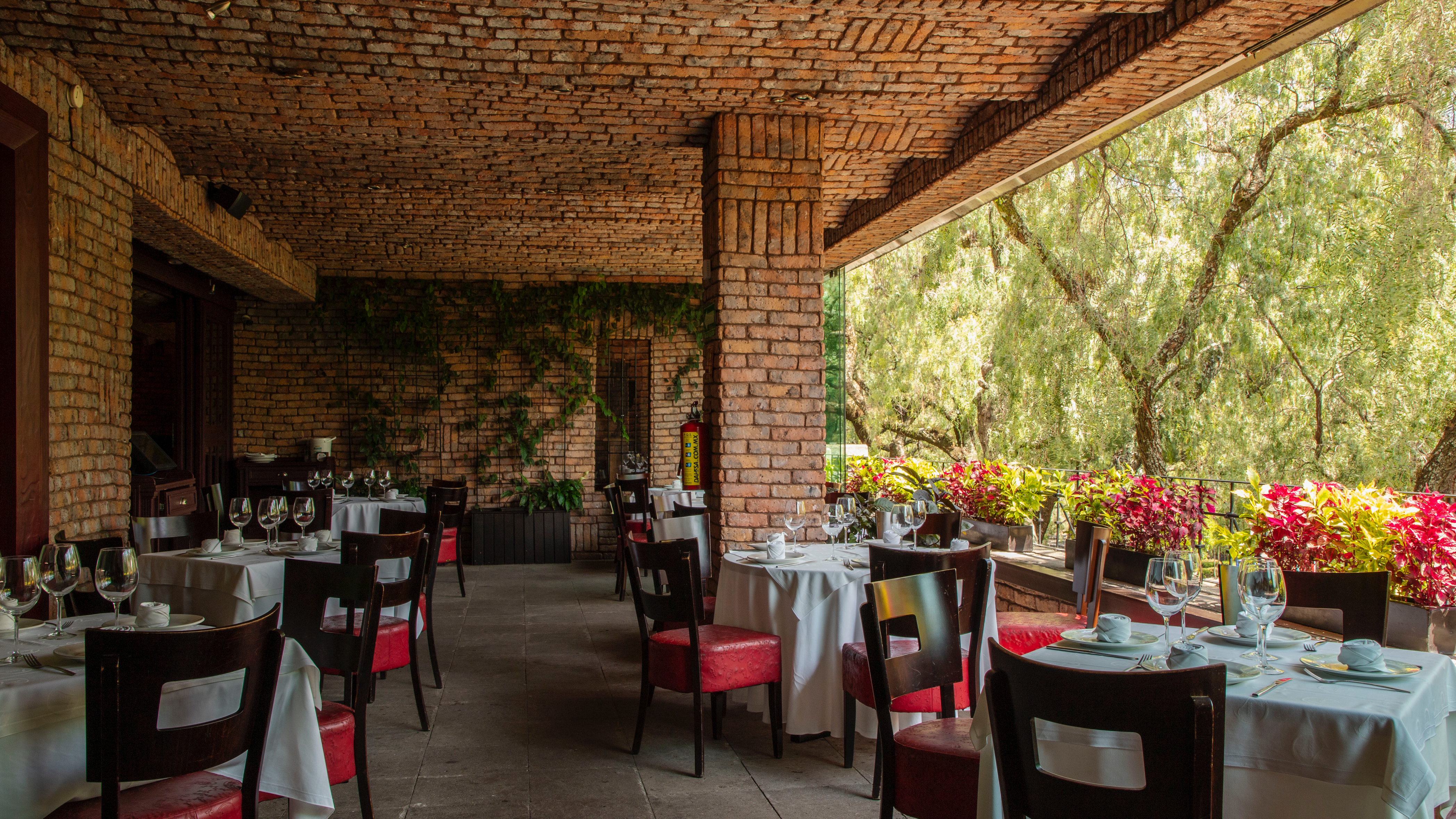 Lucca Pedregal image 1