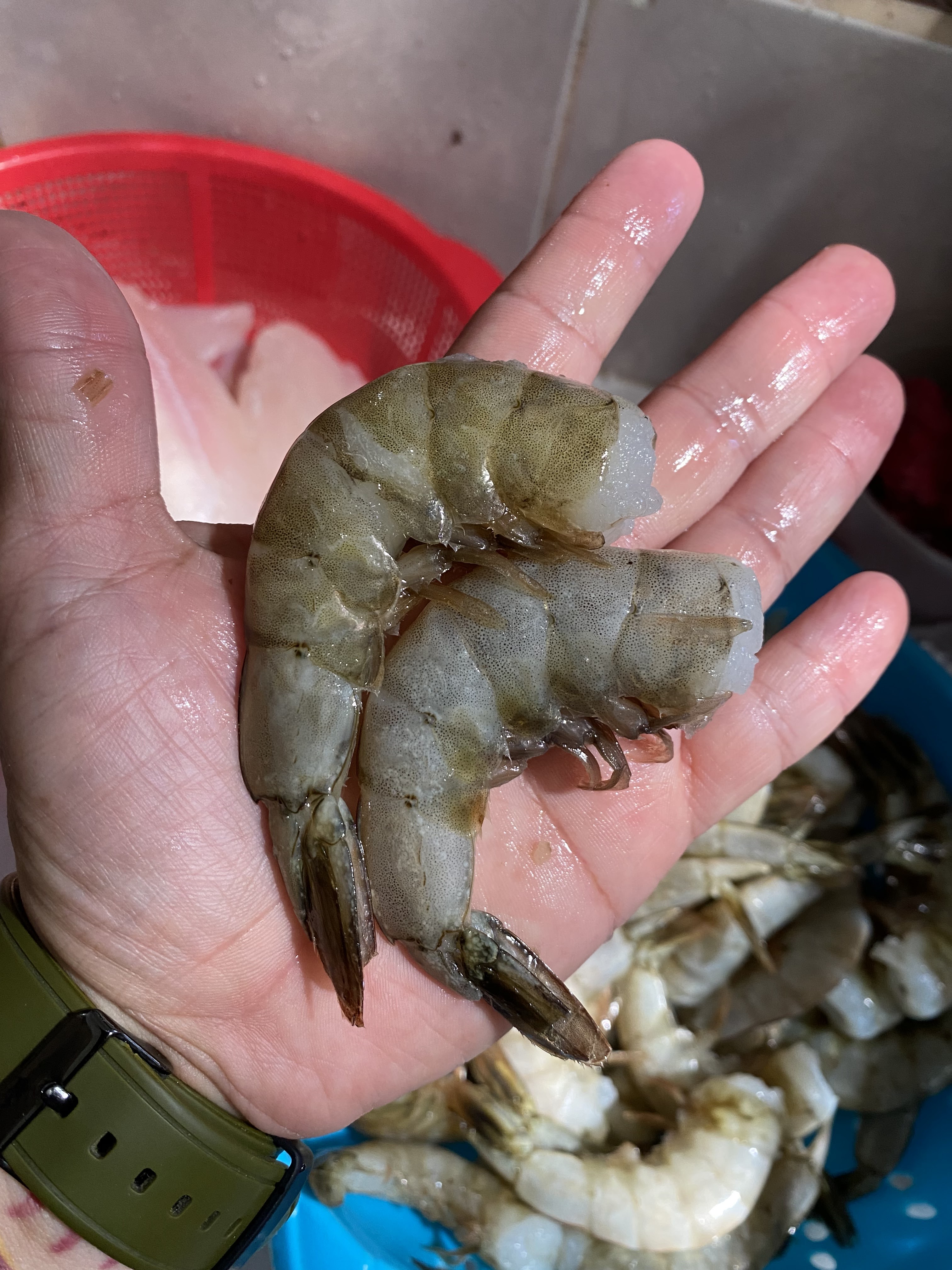 Pescadería Puerto México image 4