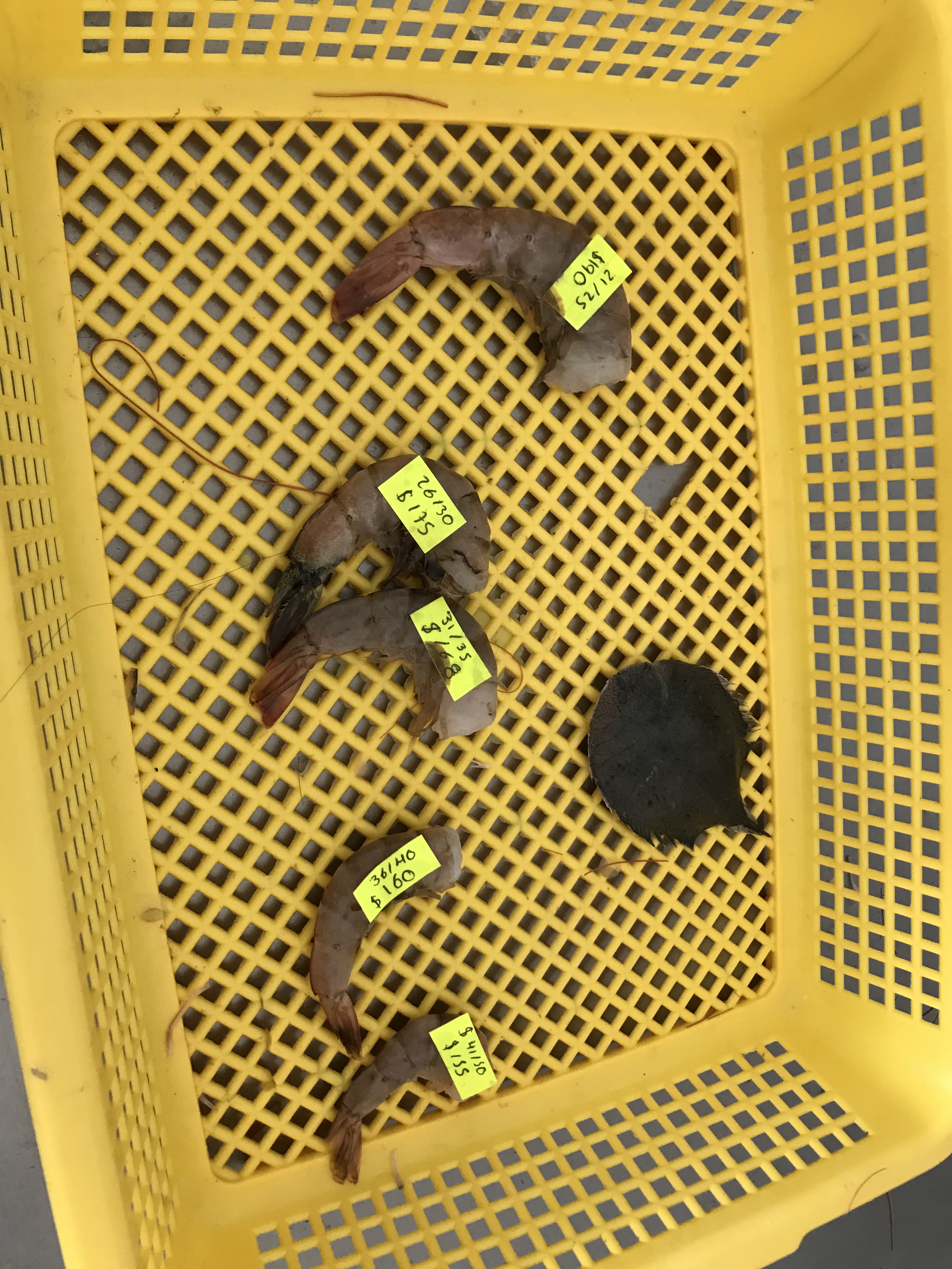 Pescadería Puerto México image 8