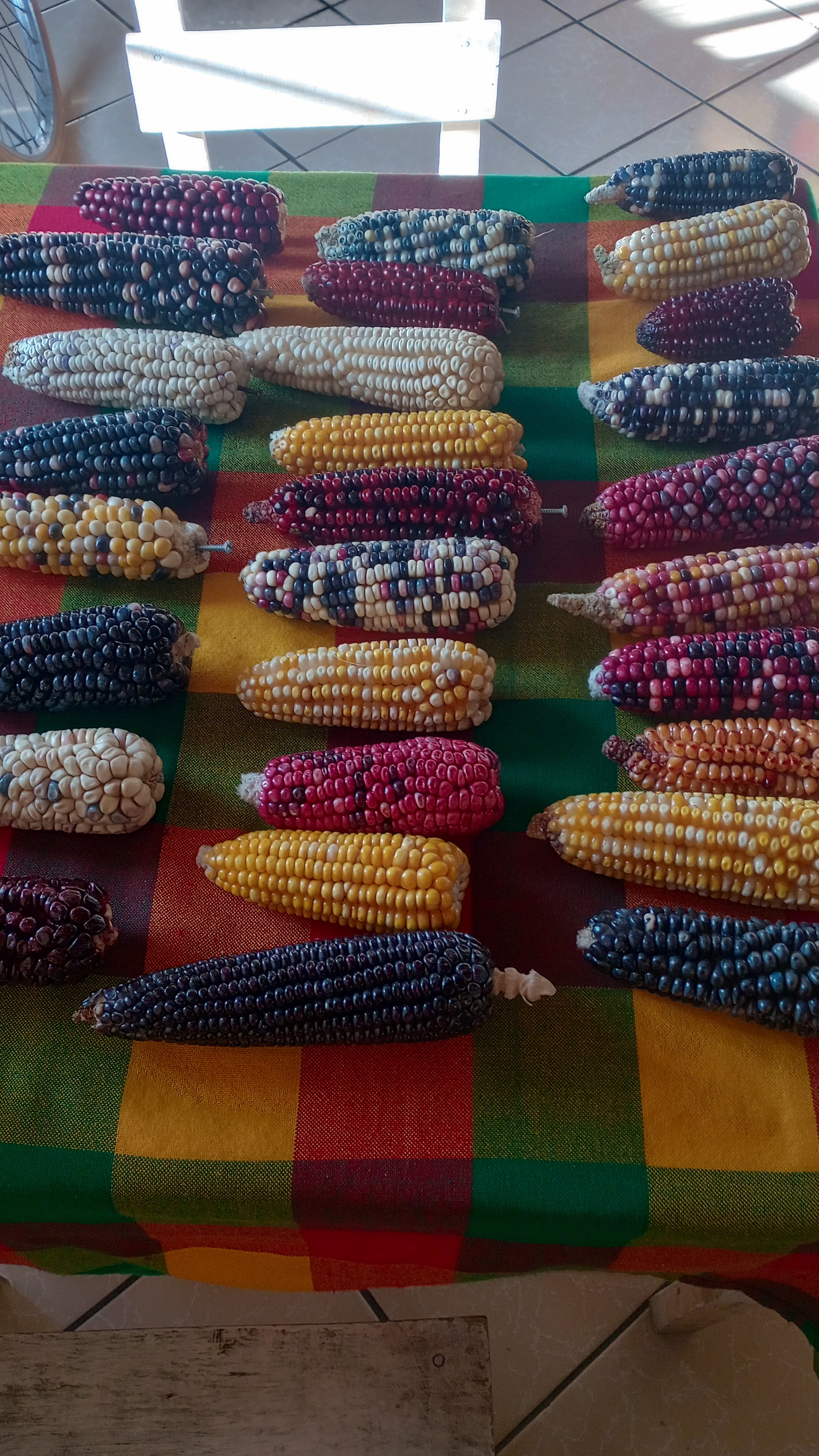 Cocina de maices image 6