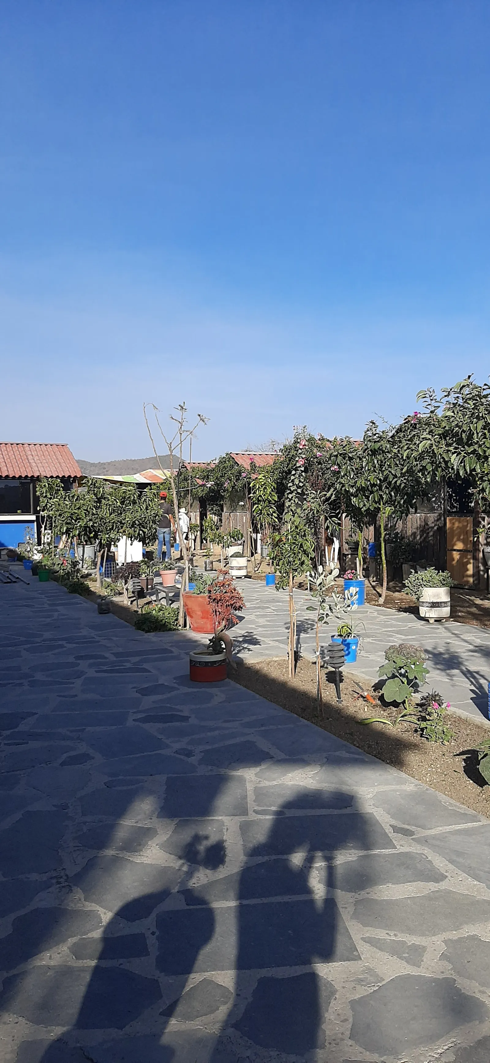 Barrabas image 10