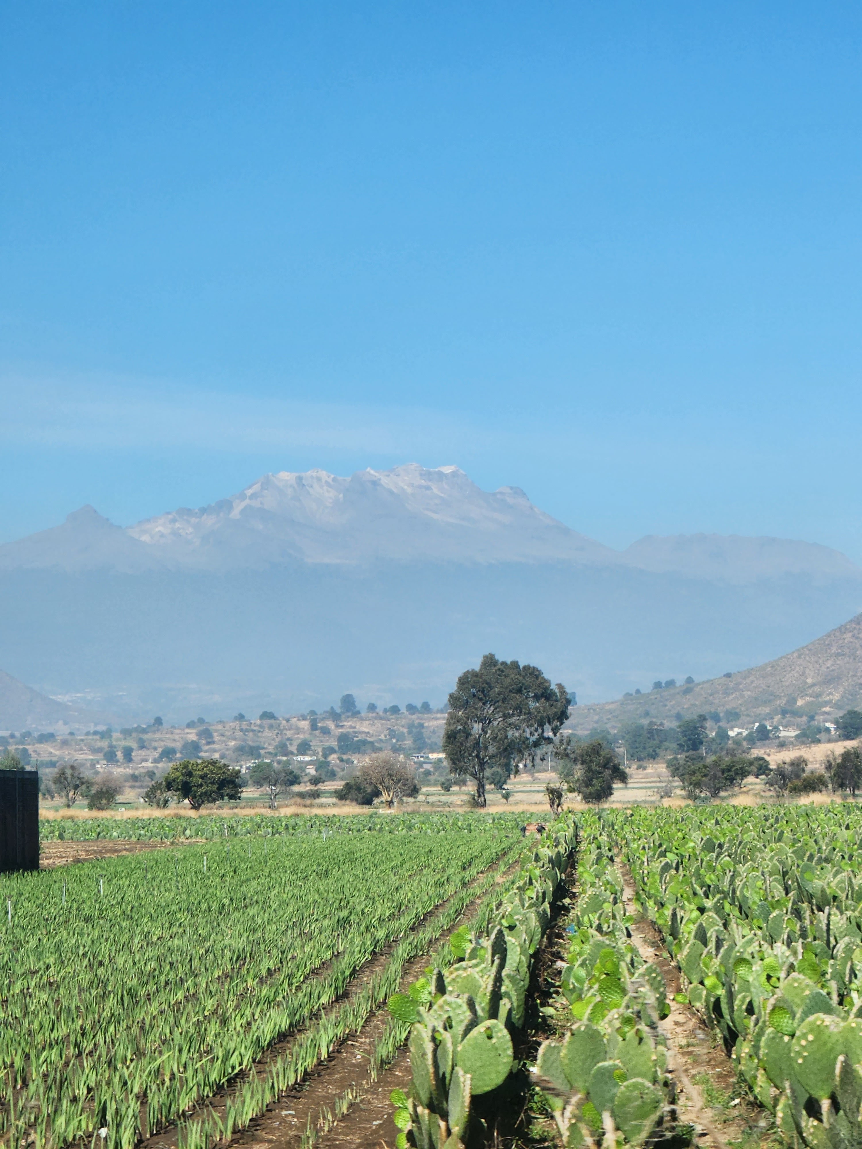 Marisqueria La Trucha image 2