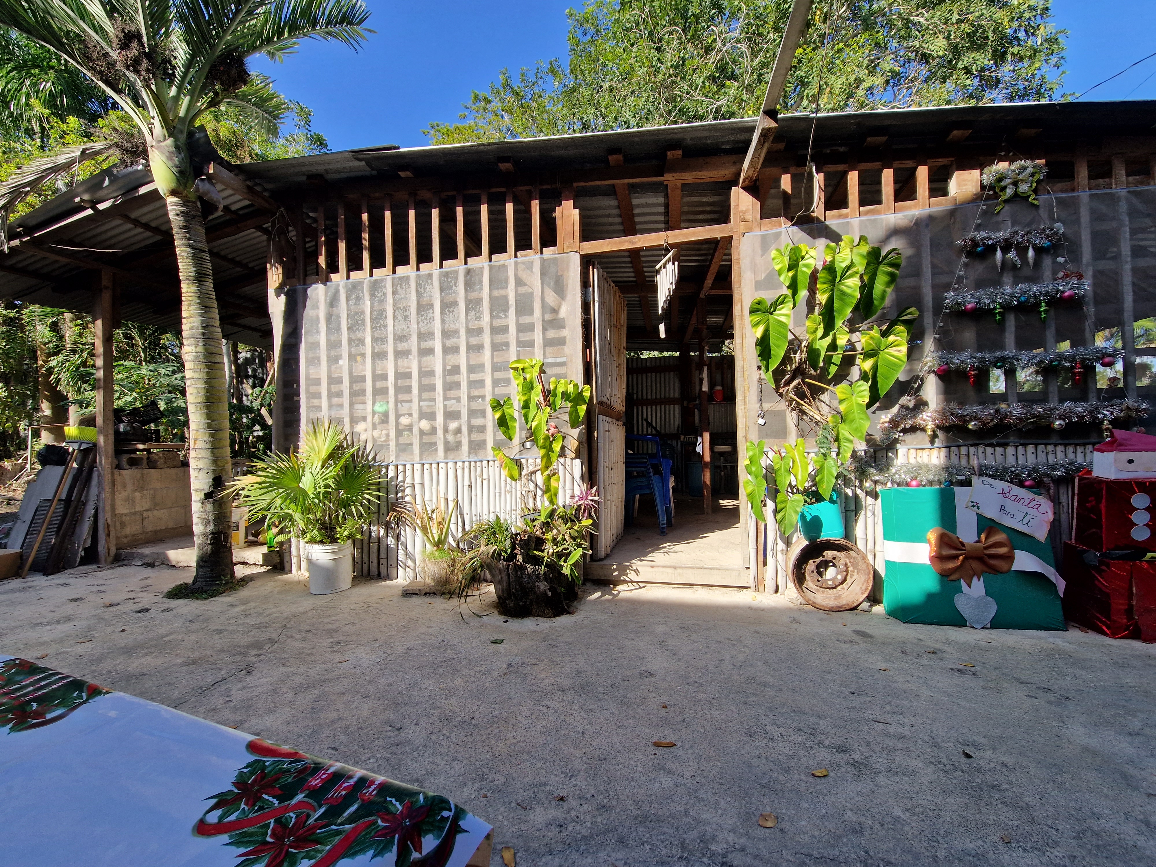 Sazón de doña bertha image 3