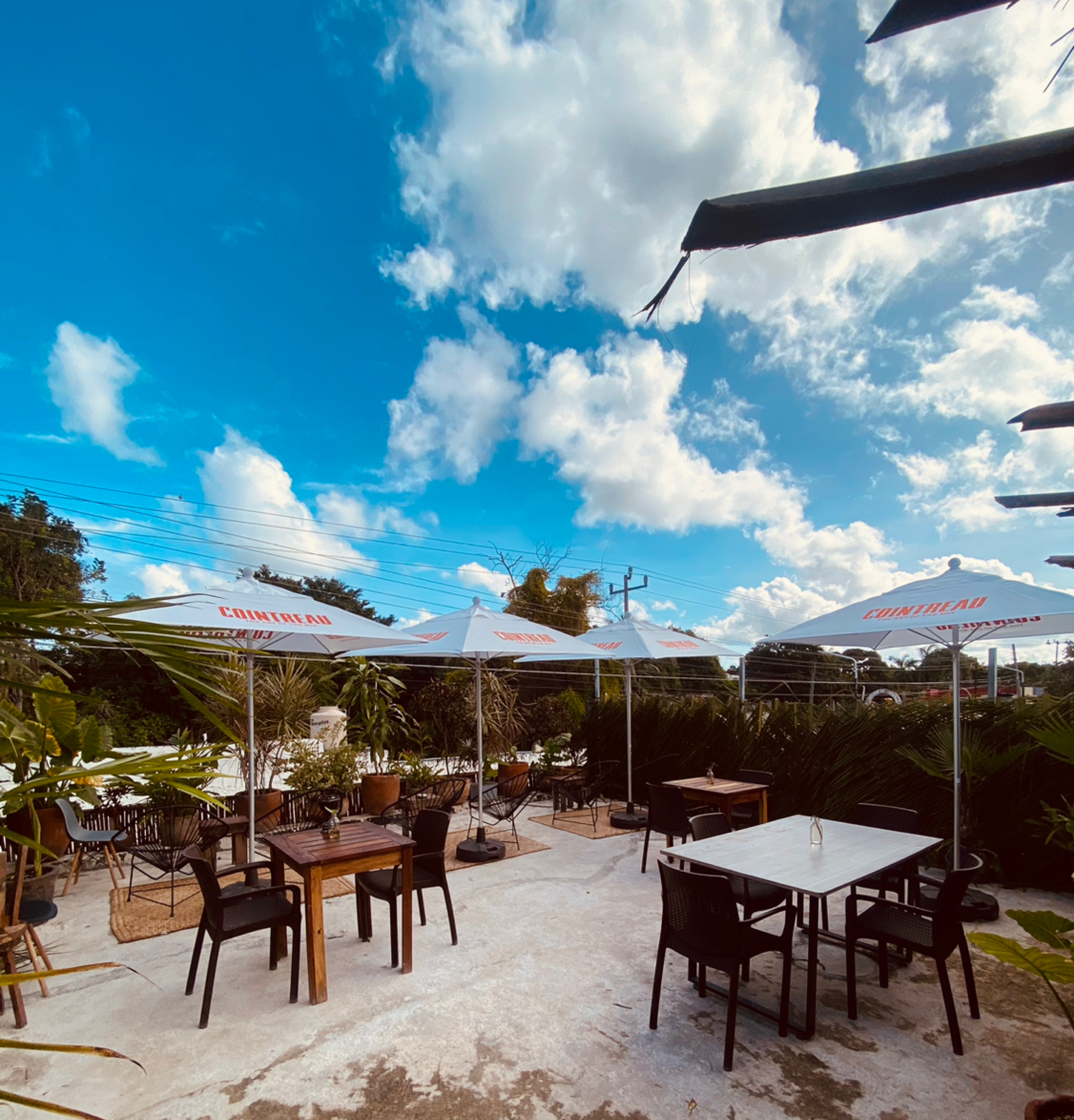 Sakya Resta/Bar Terraza image 1