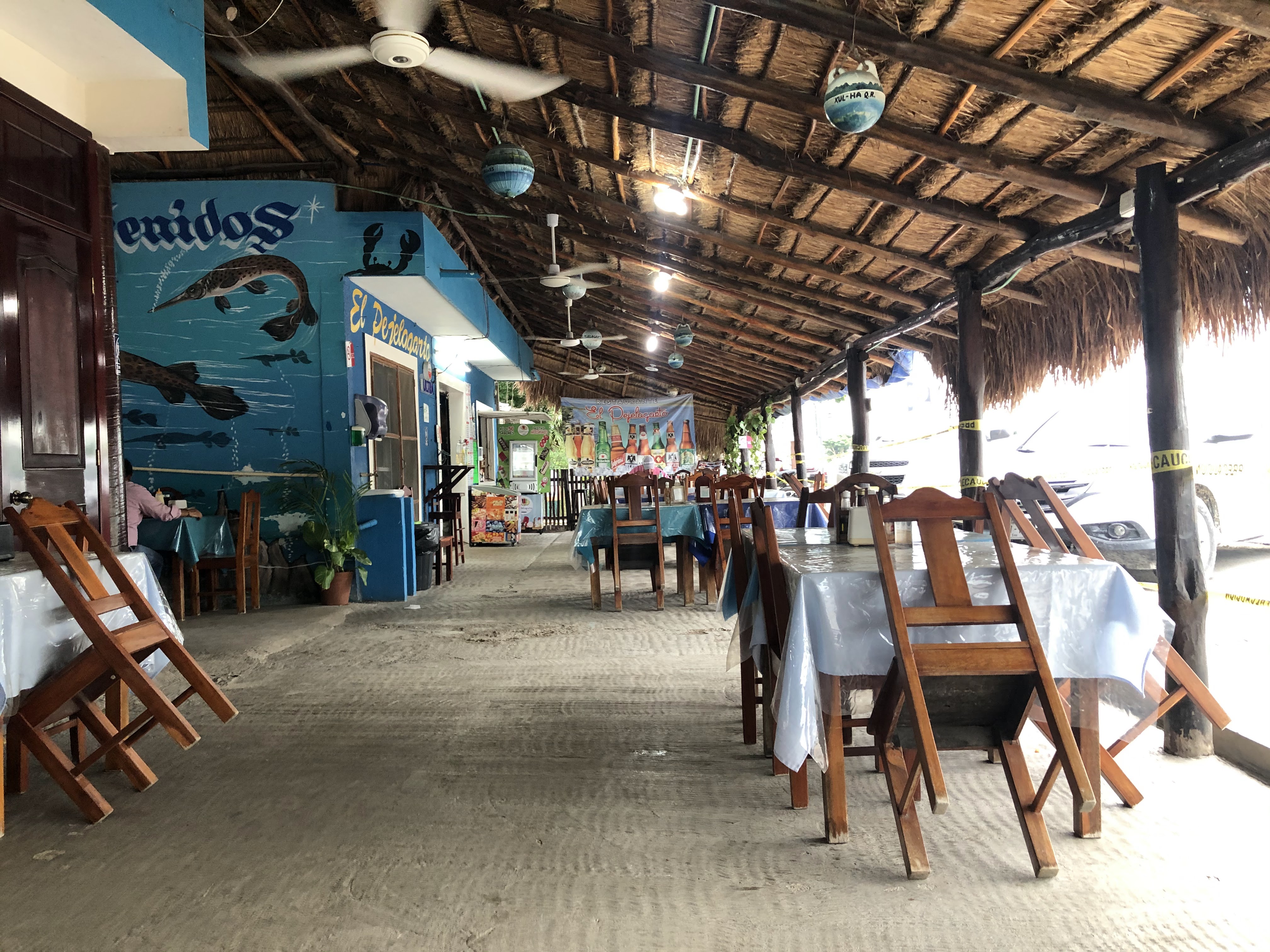 El Pejelagarto image 9