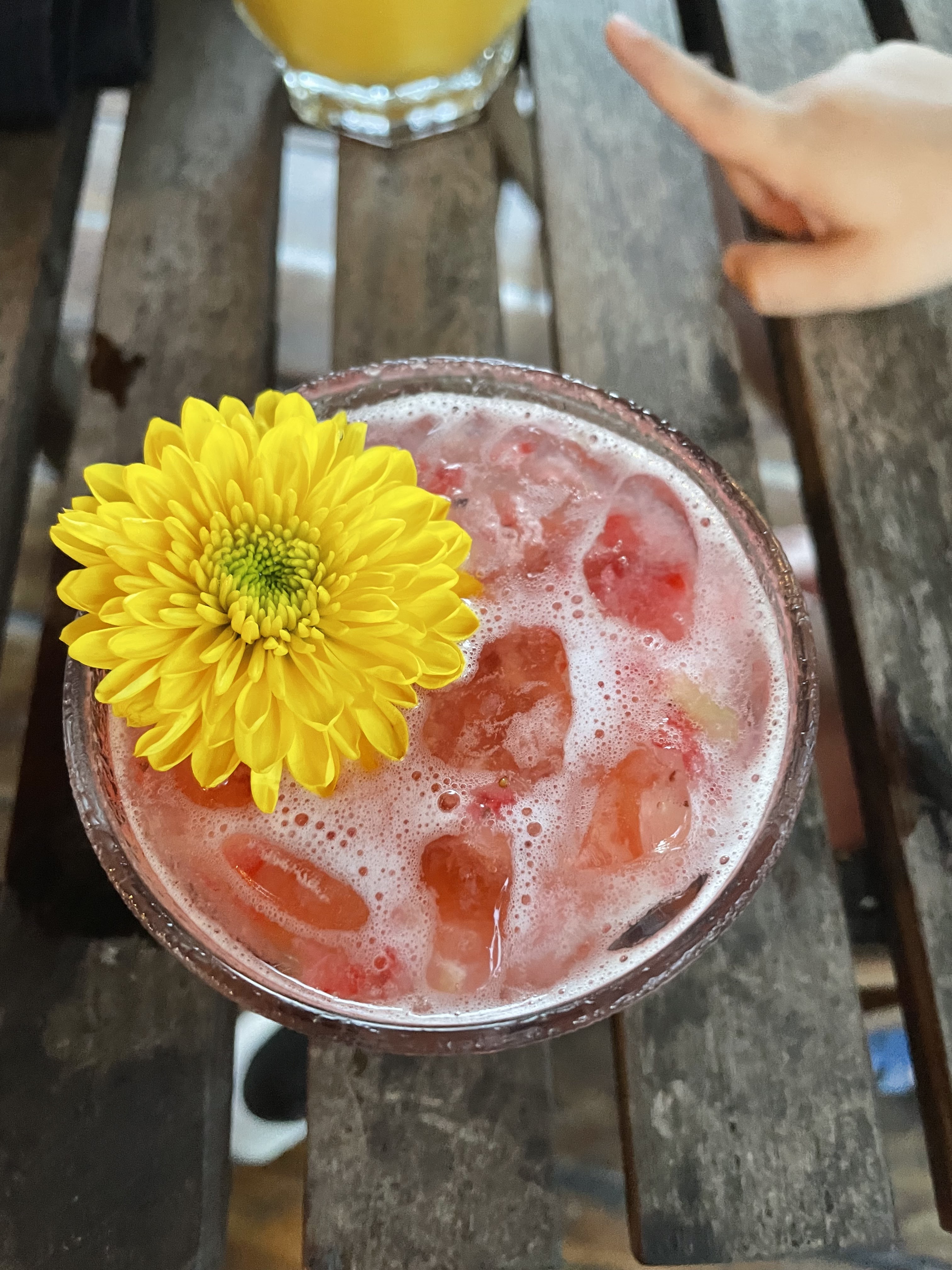 NORU Bacalar image 3